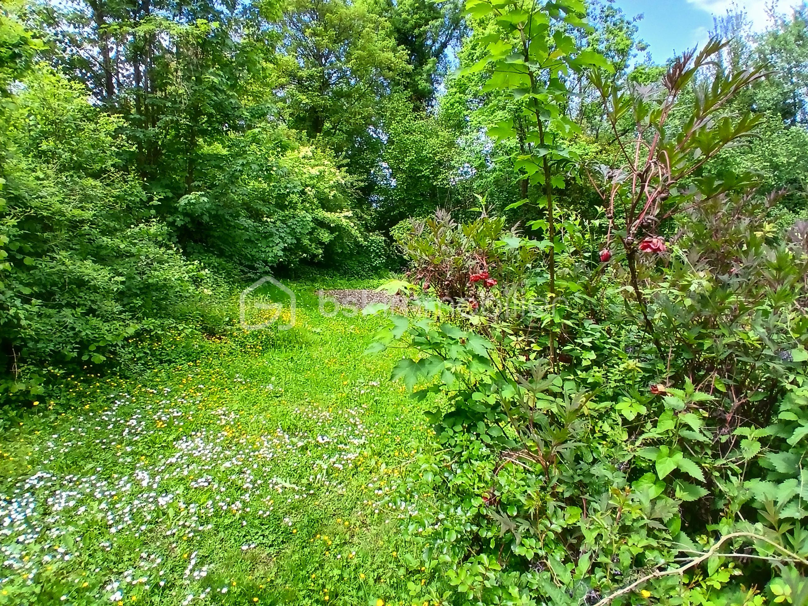 20260515_135420.jpg