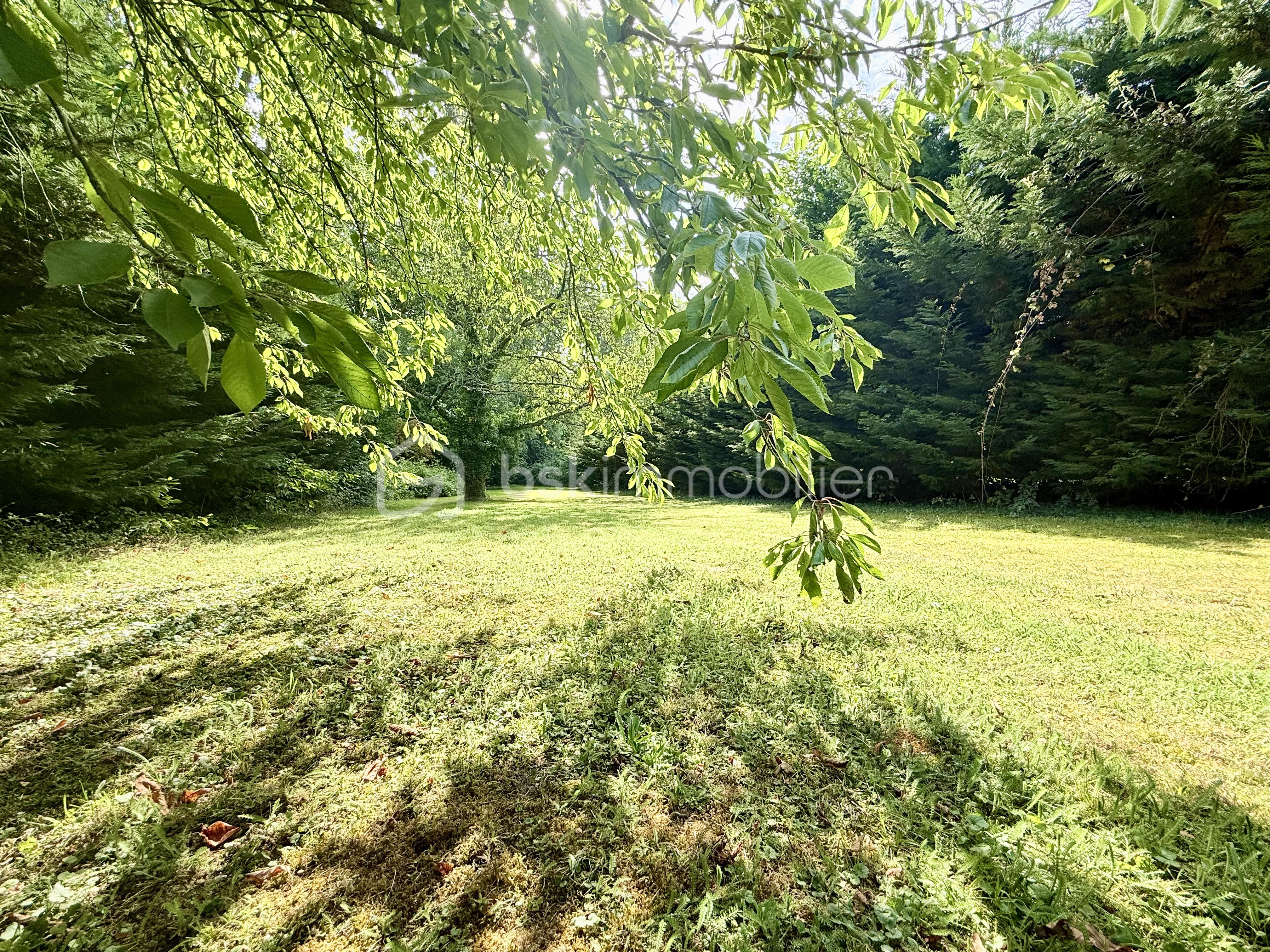 Jardin 2.jpeg