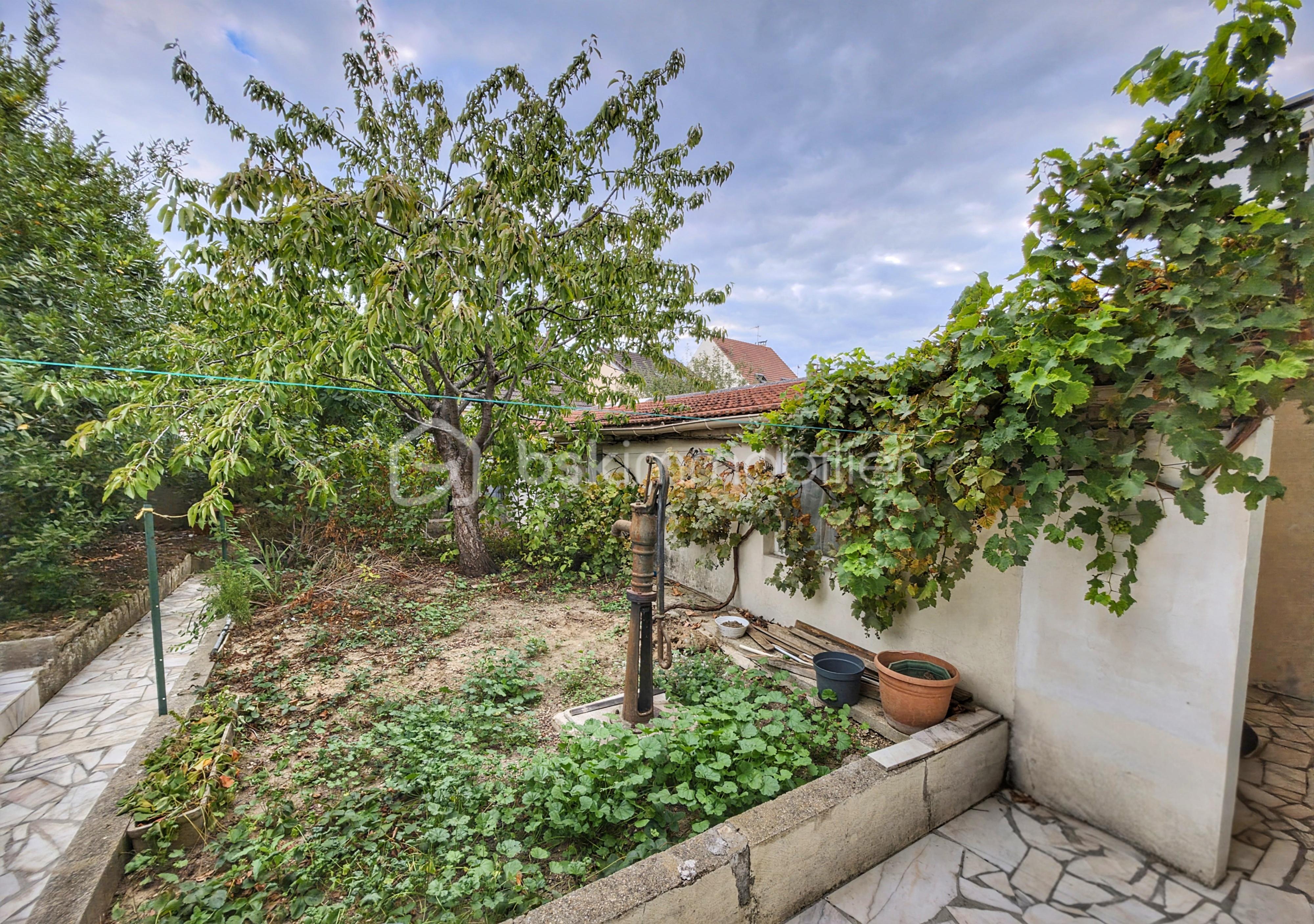 jardin.jpeg