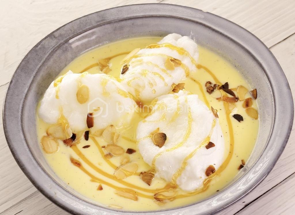 terre et mer ile flottante.jpg