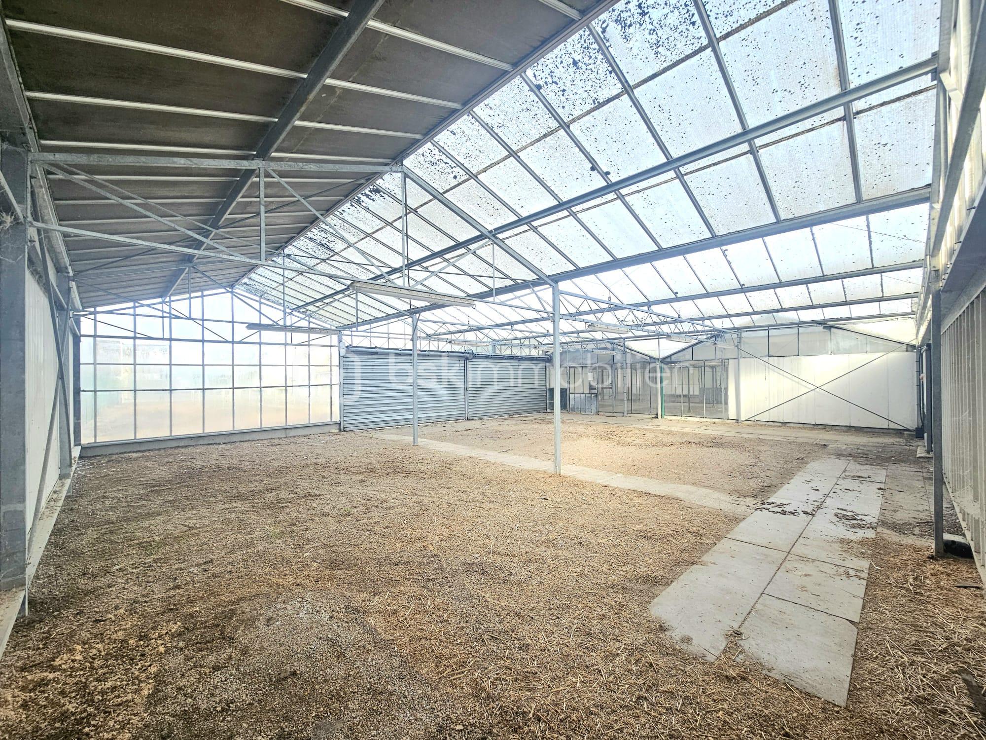 Local d activites de 825 m² - WhatsApp Image 2025-11-10 at 22.00.40 (1).jpeg