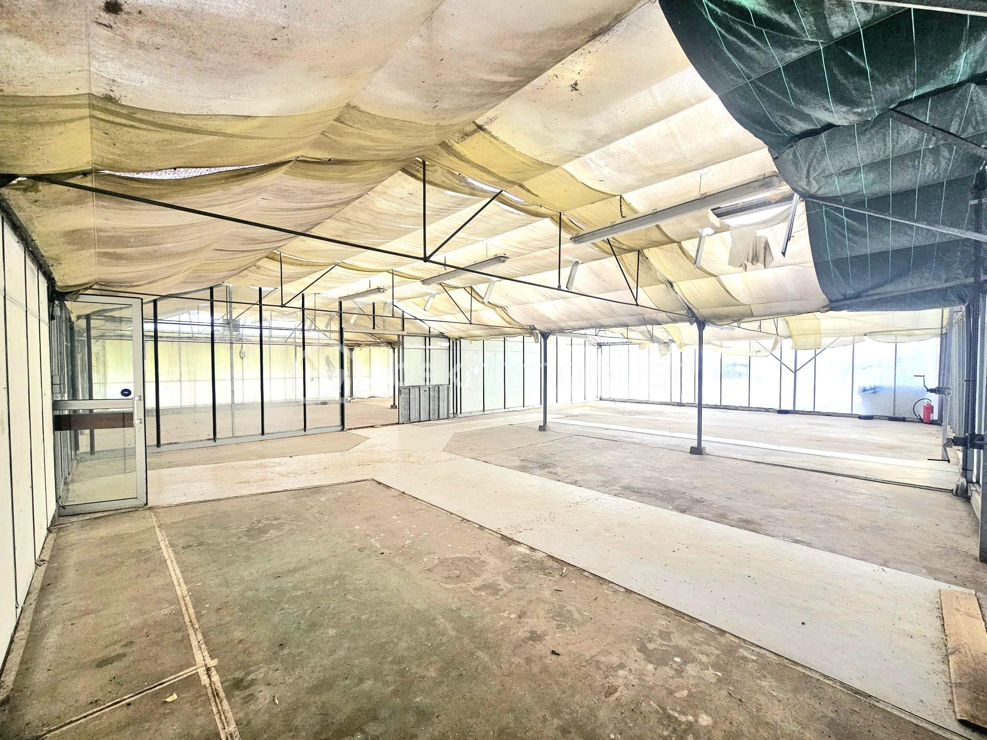 Local d activites de 825 m² - WhatsApp Image 2025-11-10 at 22.00.40 (3).jpeg