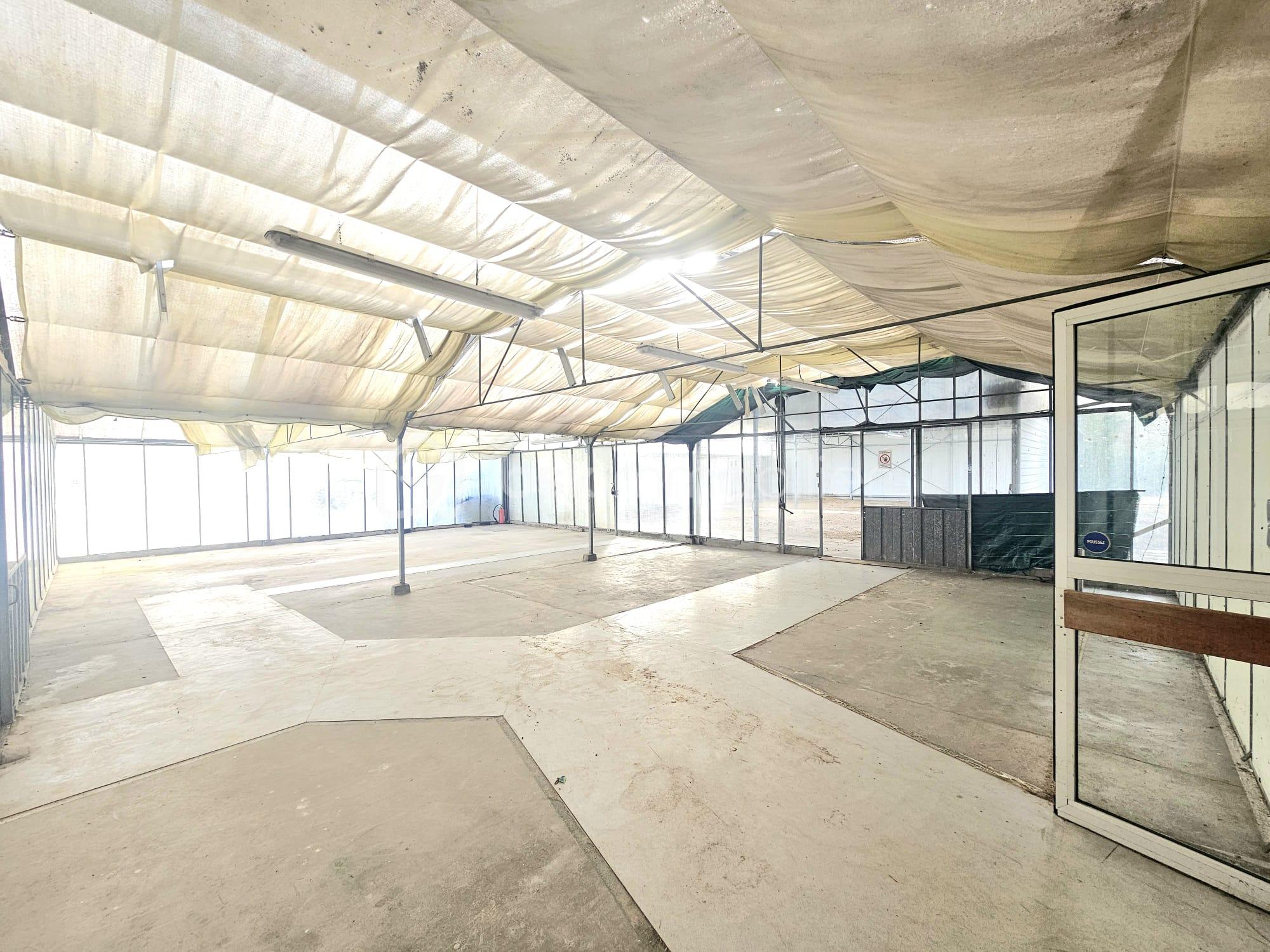 Local d activites de 825 m² - WhatsApp Image 2025-11-10 at 22.00.40 (2).jpeg