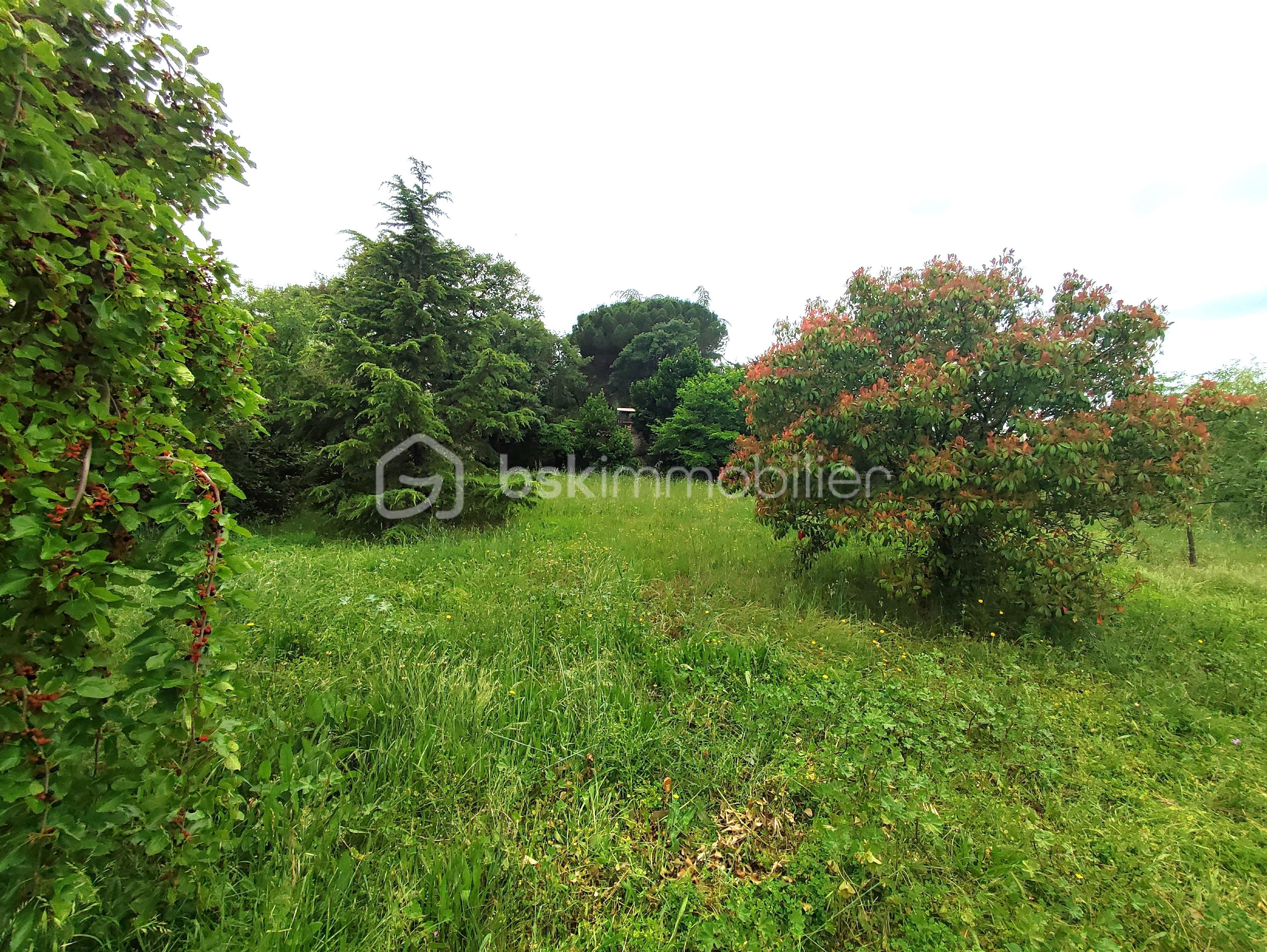 Terrain de 784 m² - 1716820277102.jpg