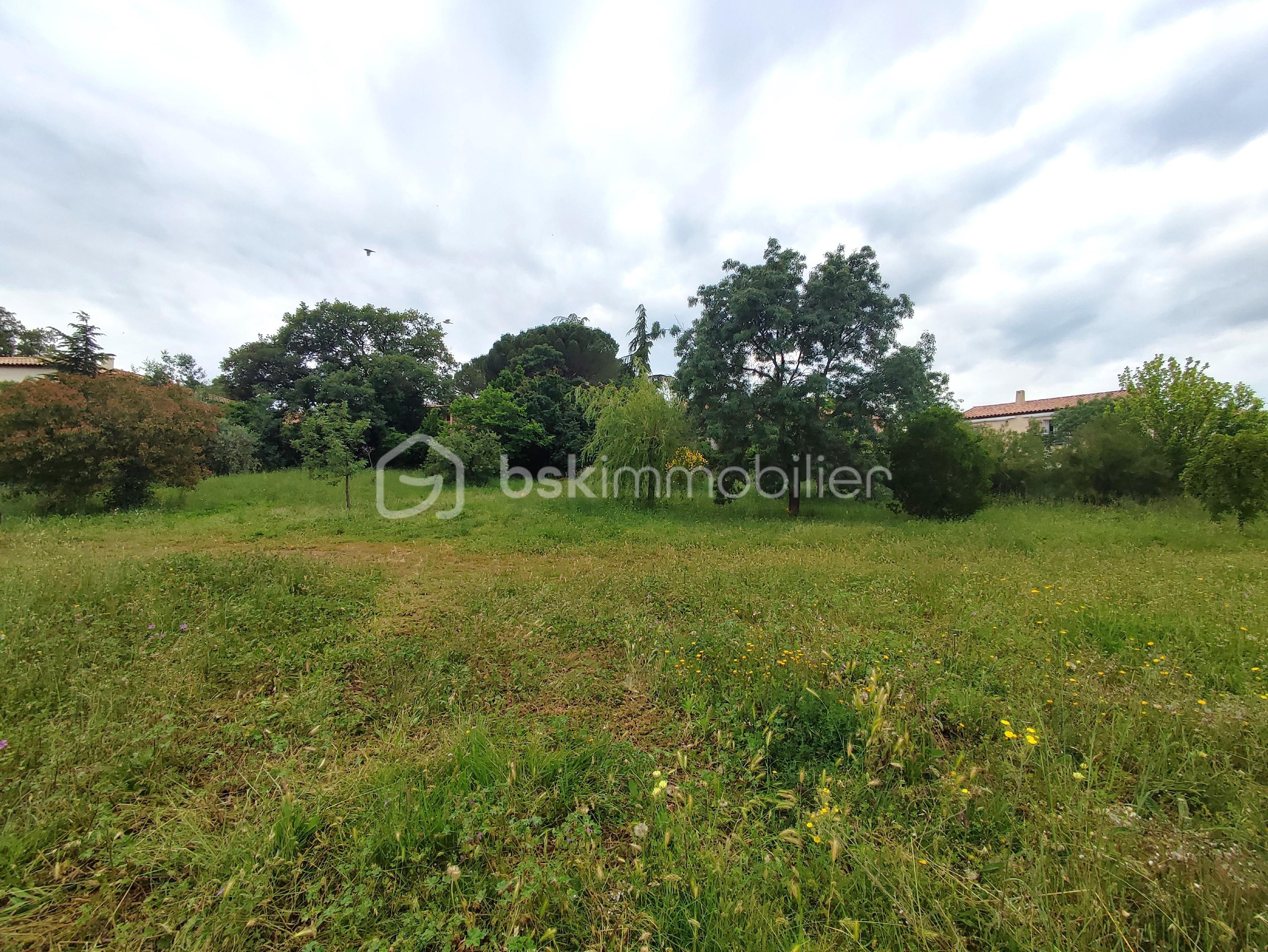 Terrain de 784 m² - 1716820249056.jpg
