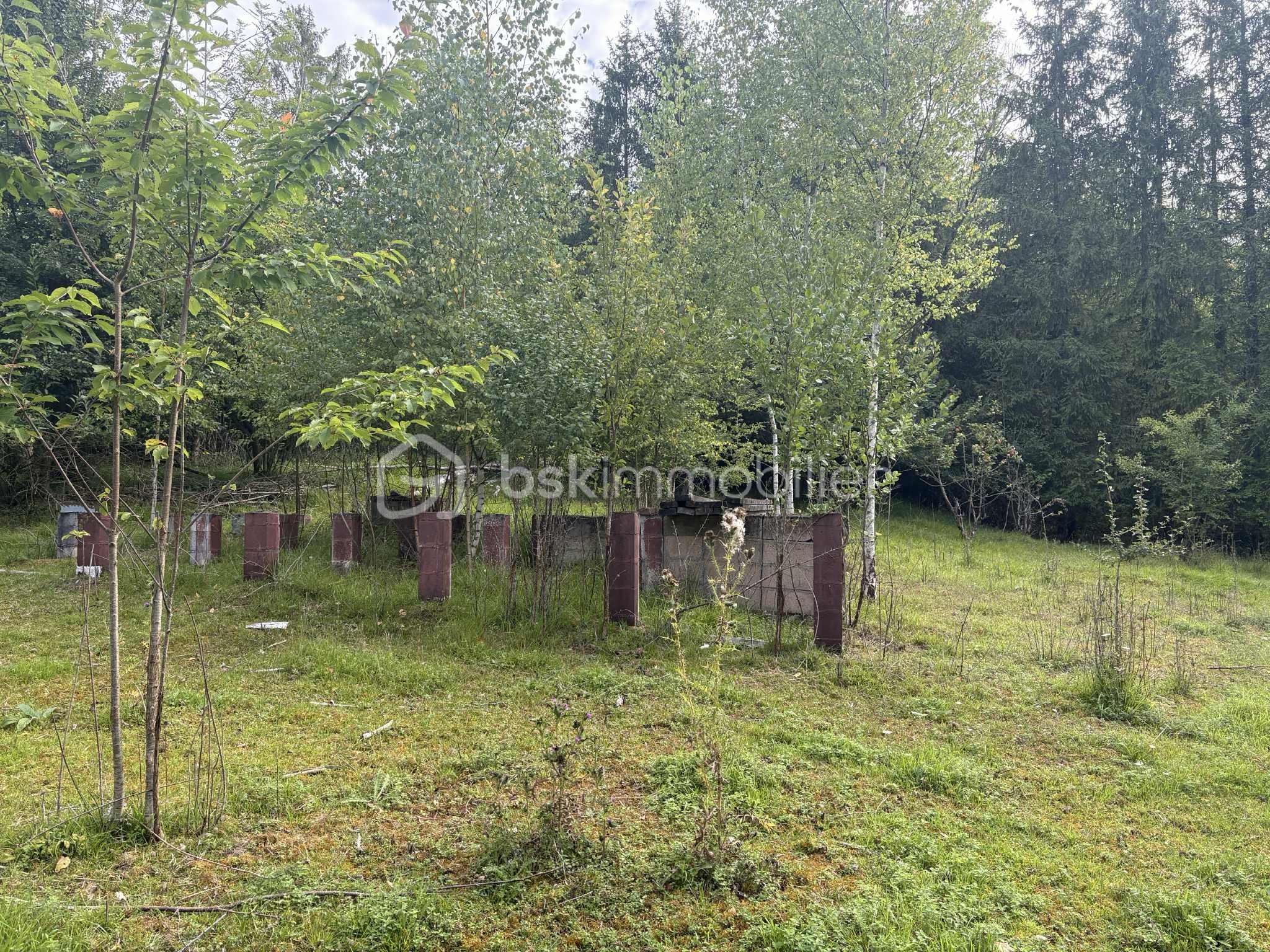Terrain de loisirs de 4 620 m² - de37a6dc-d05c-452d-8ec2-83b8d7ccdb79.jfif