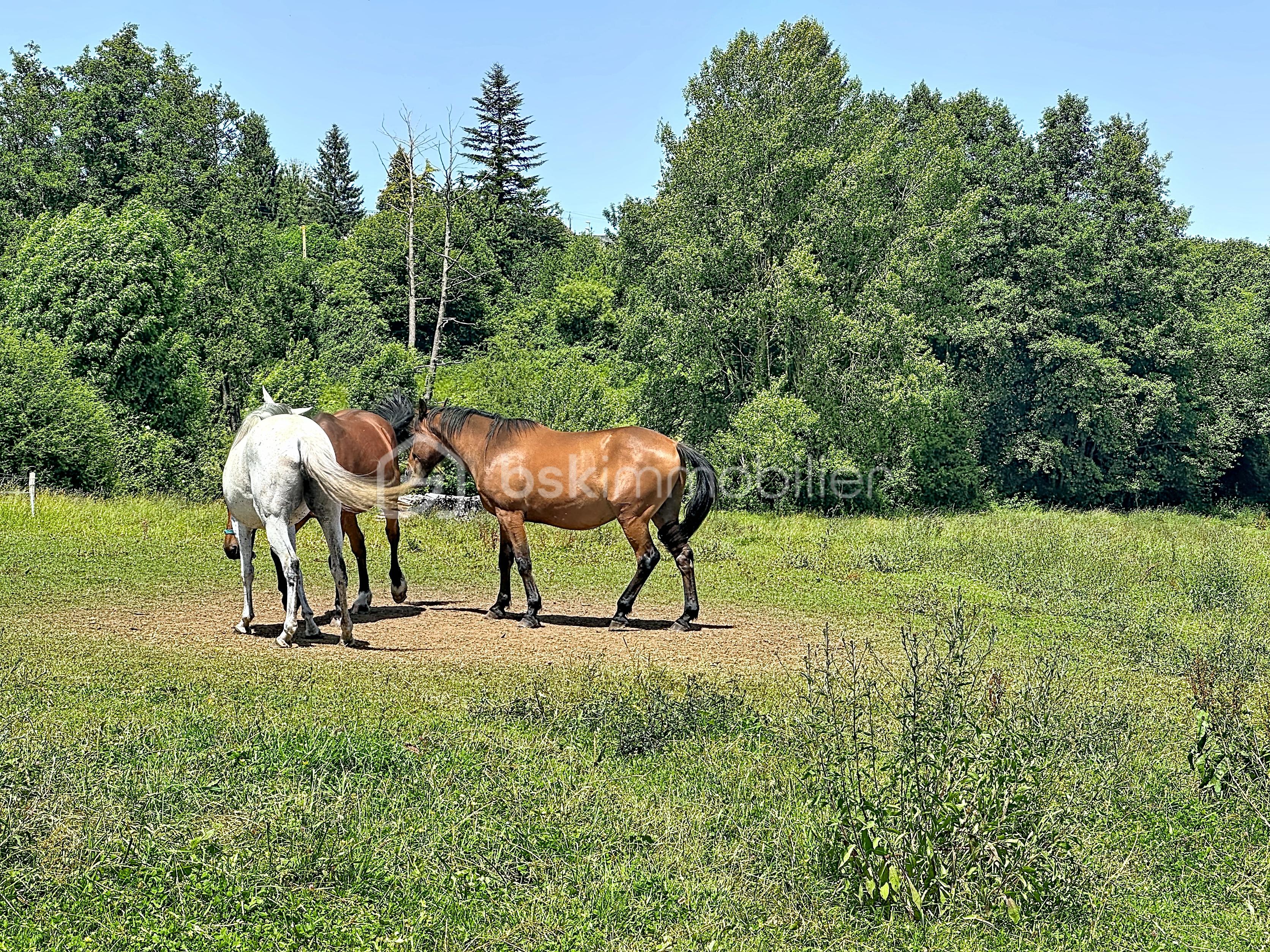 m_00015.jpg