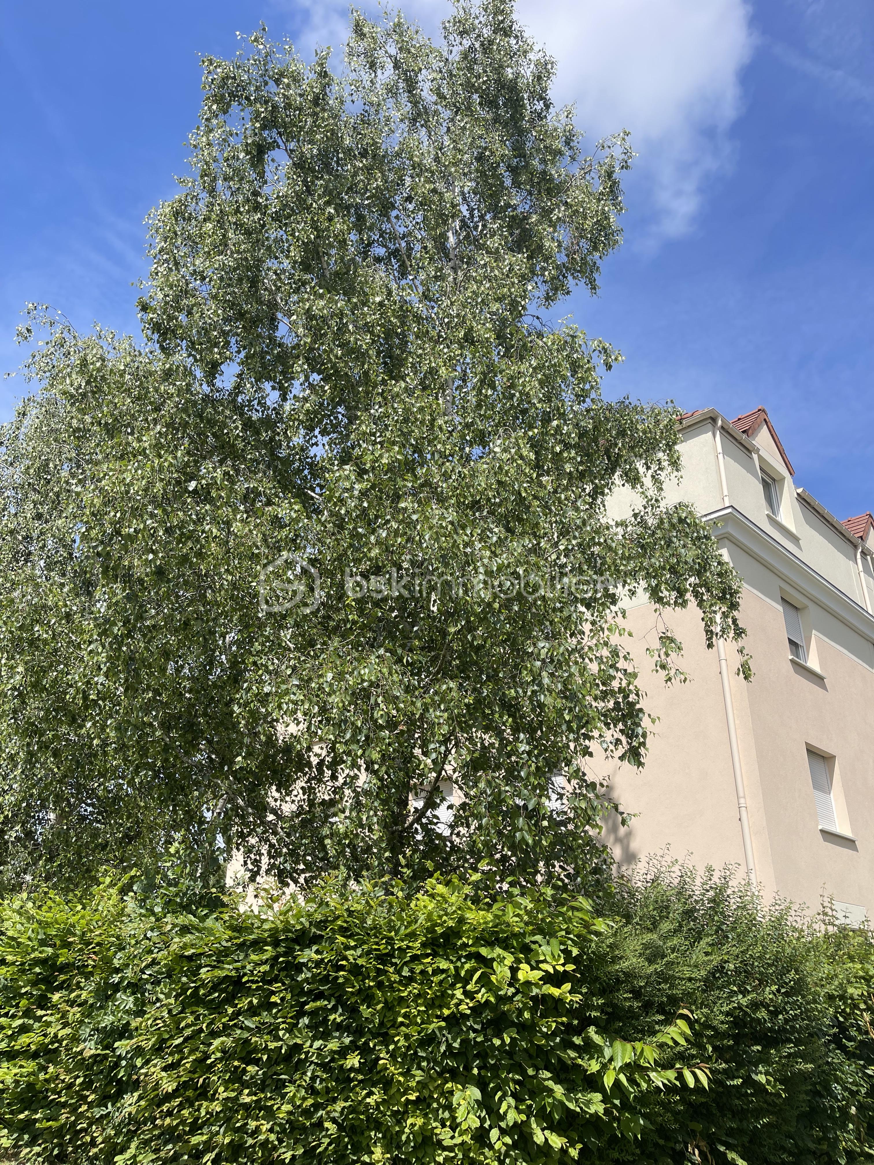 Appartement de 43 m² - IMG_3844.JPG