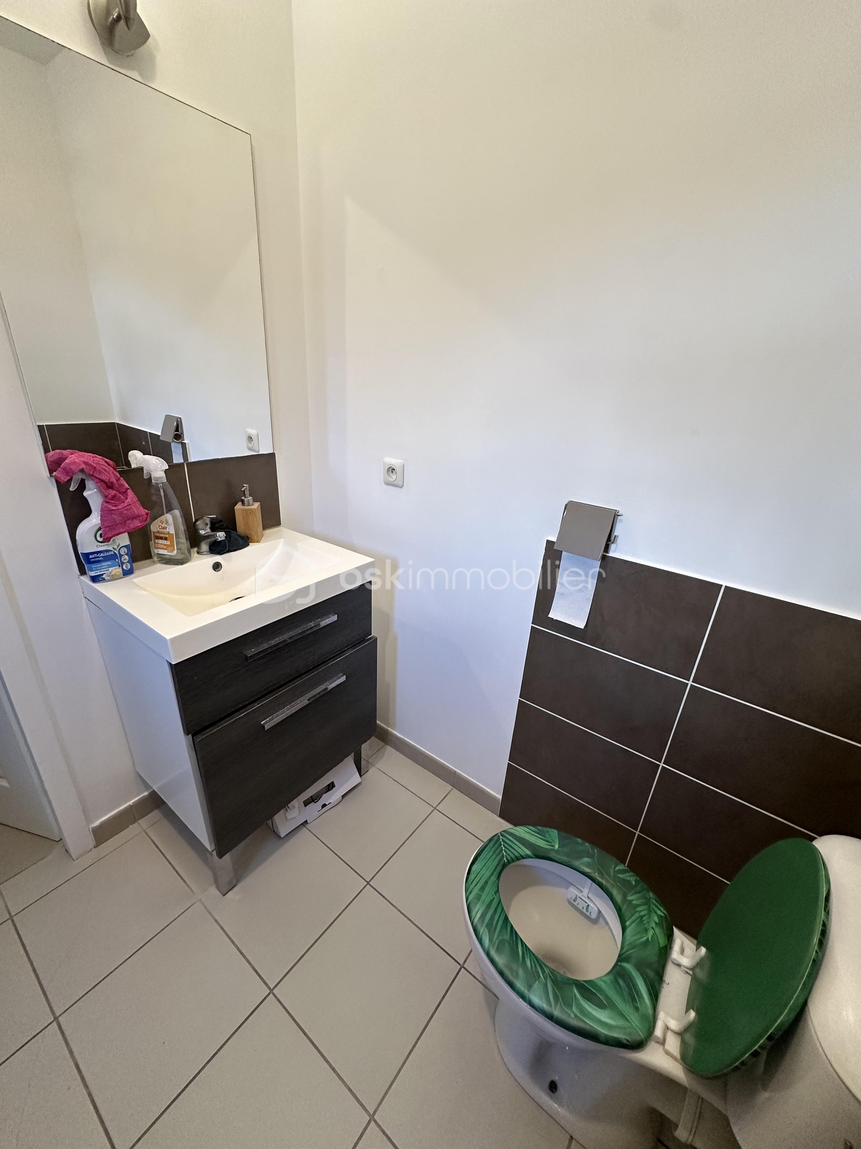 salle de bain 1 bollene.jpeg