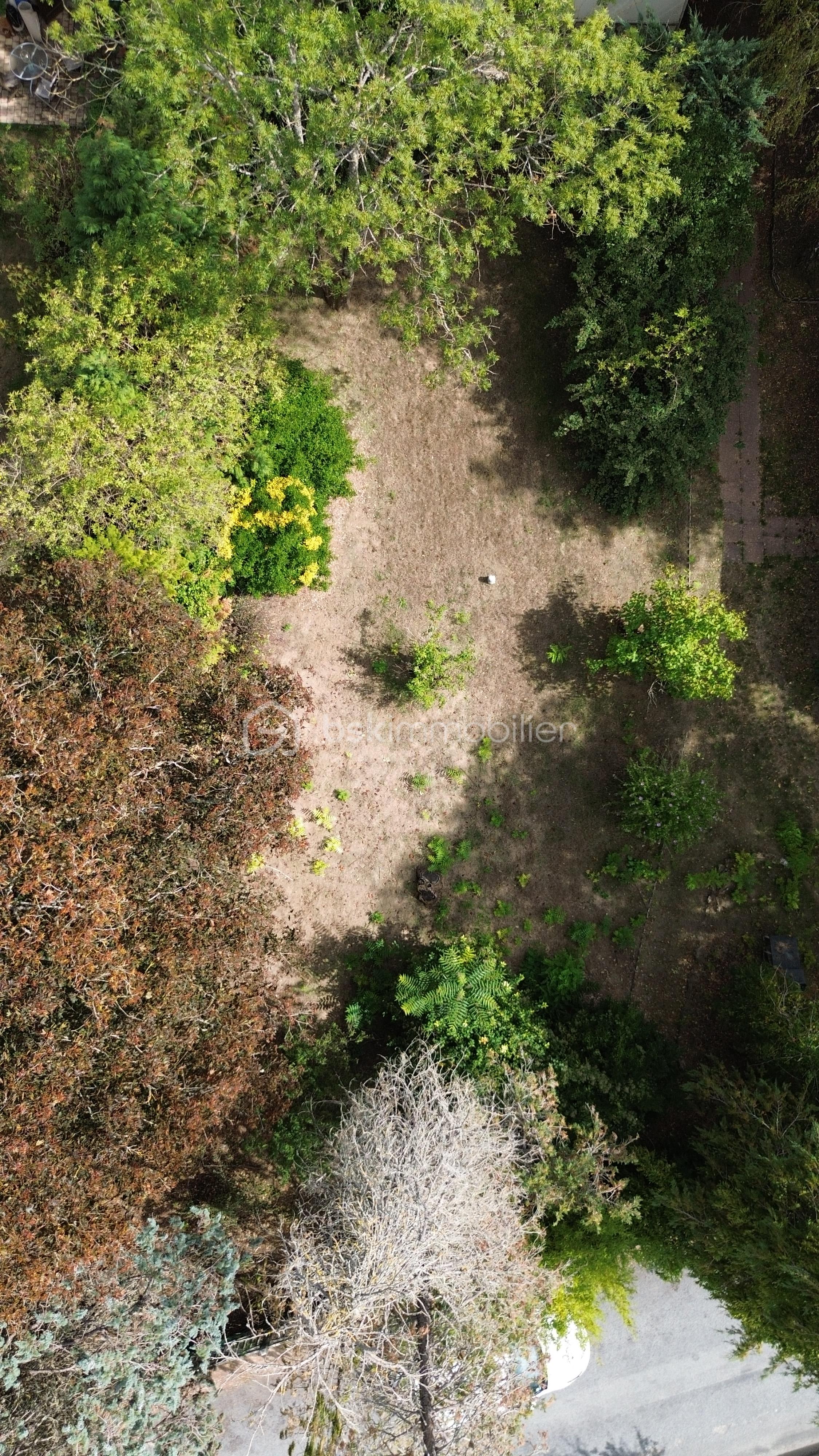 DJI_0900.JPG