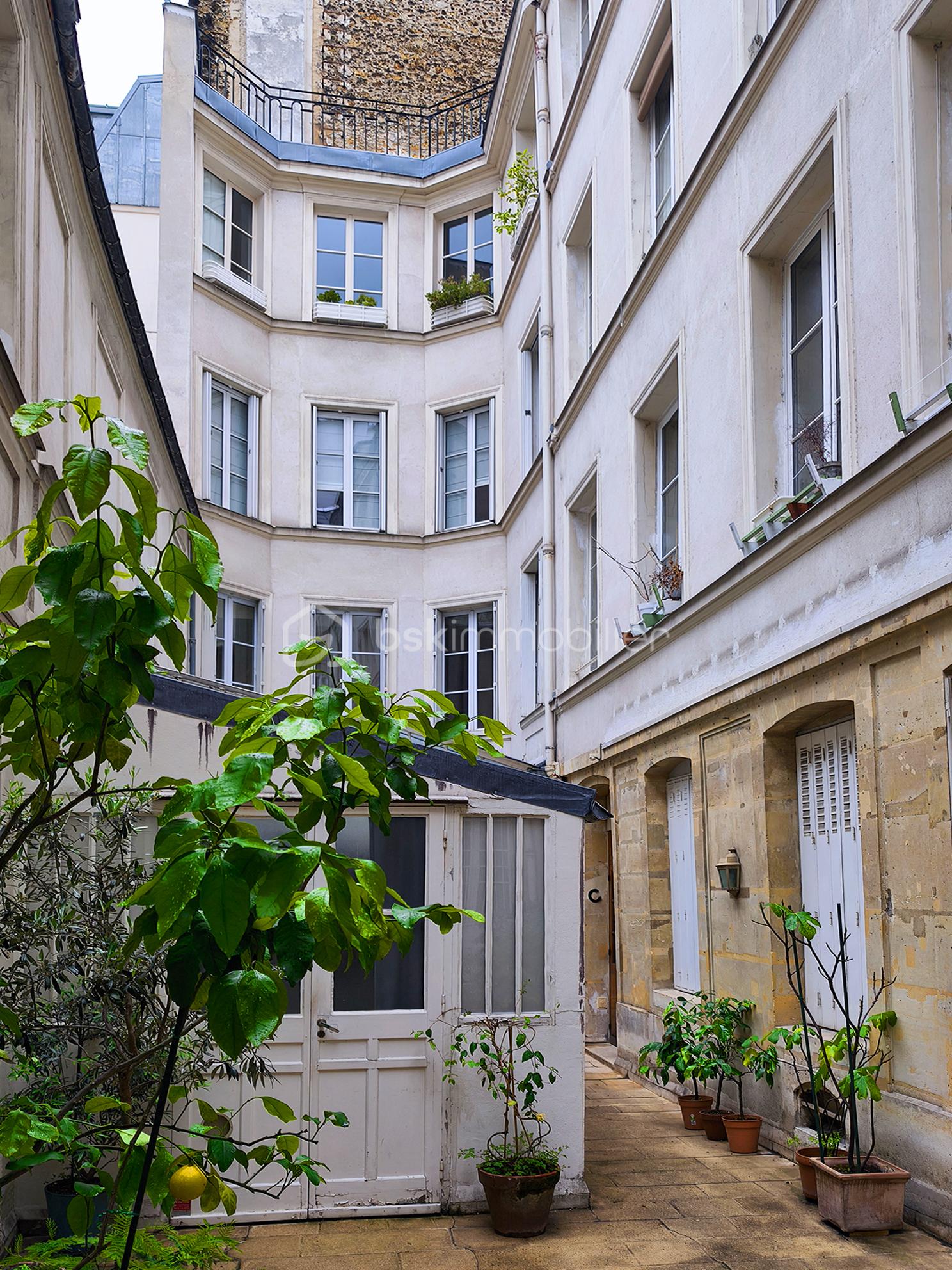Cour 02.jpg