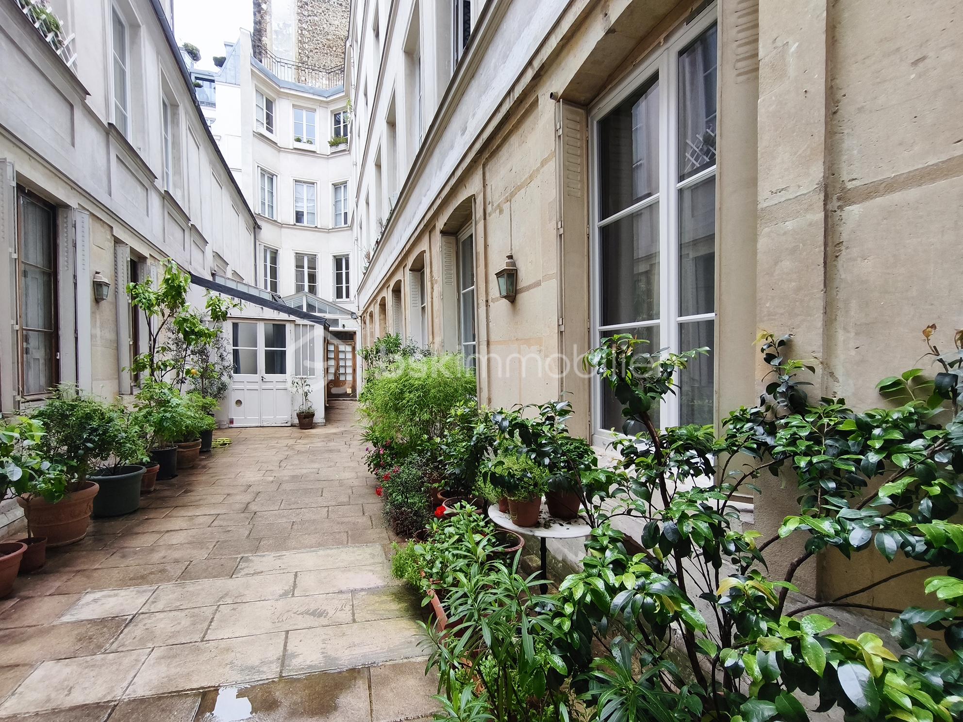 Cour.jpg
