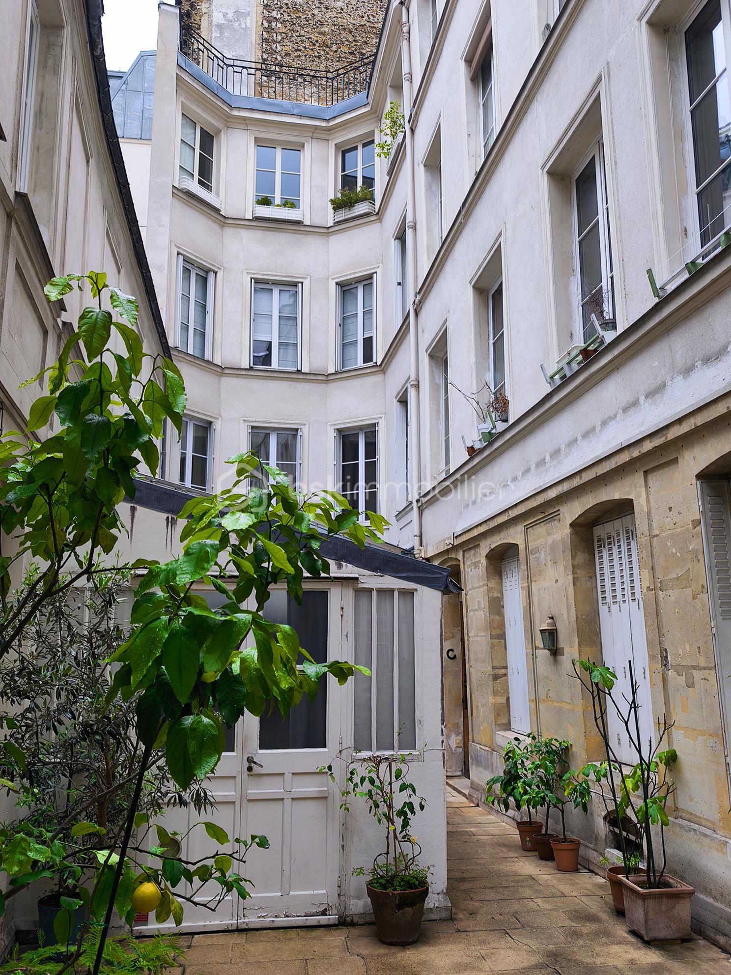 Cour 02.jpg