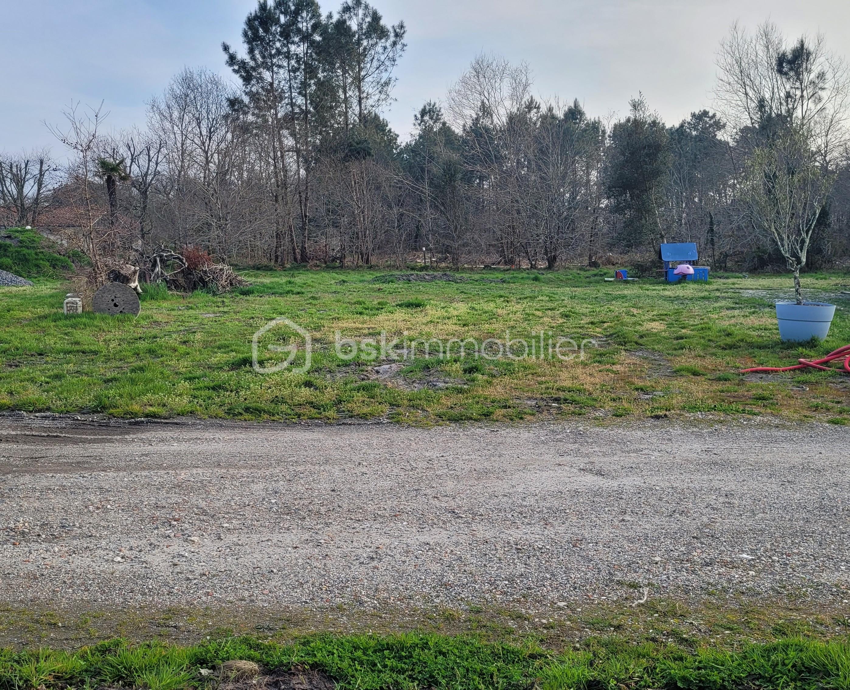 Terrain de 1 100 m² - 20250326_175422.jpg