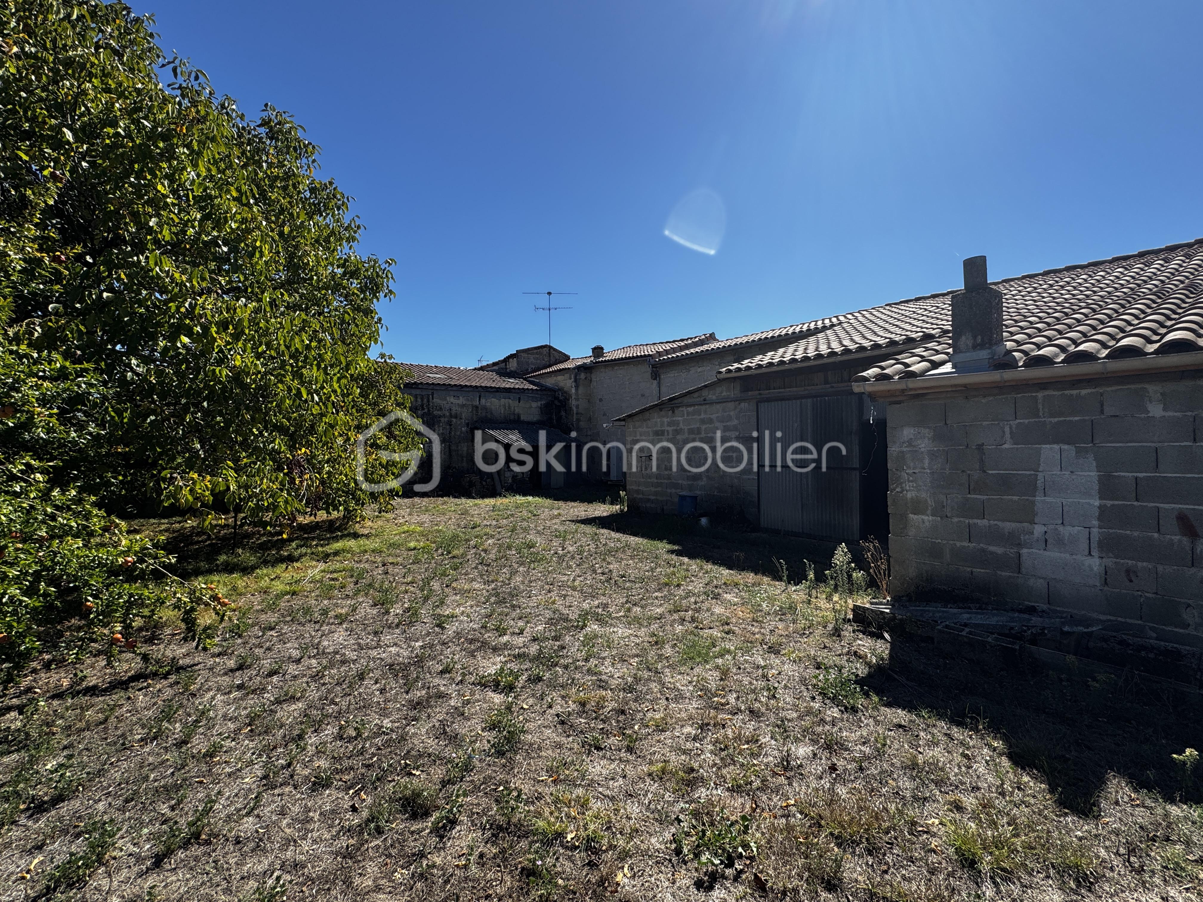 IMG_4148 copie.JPG