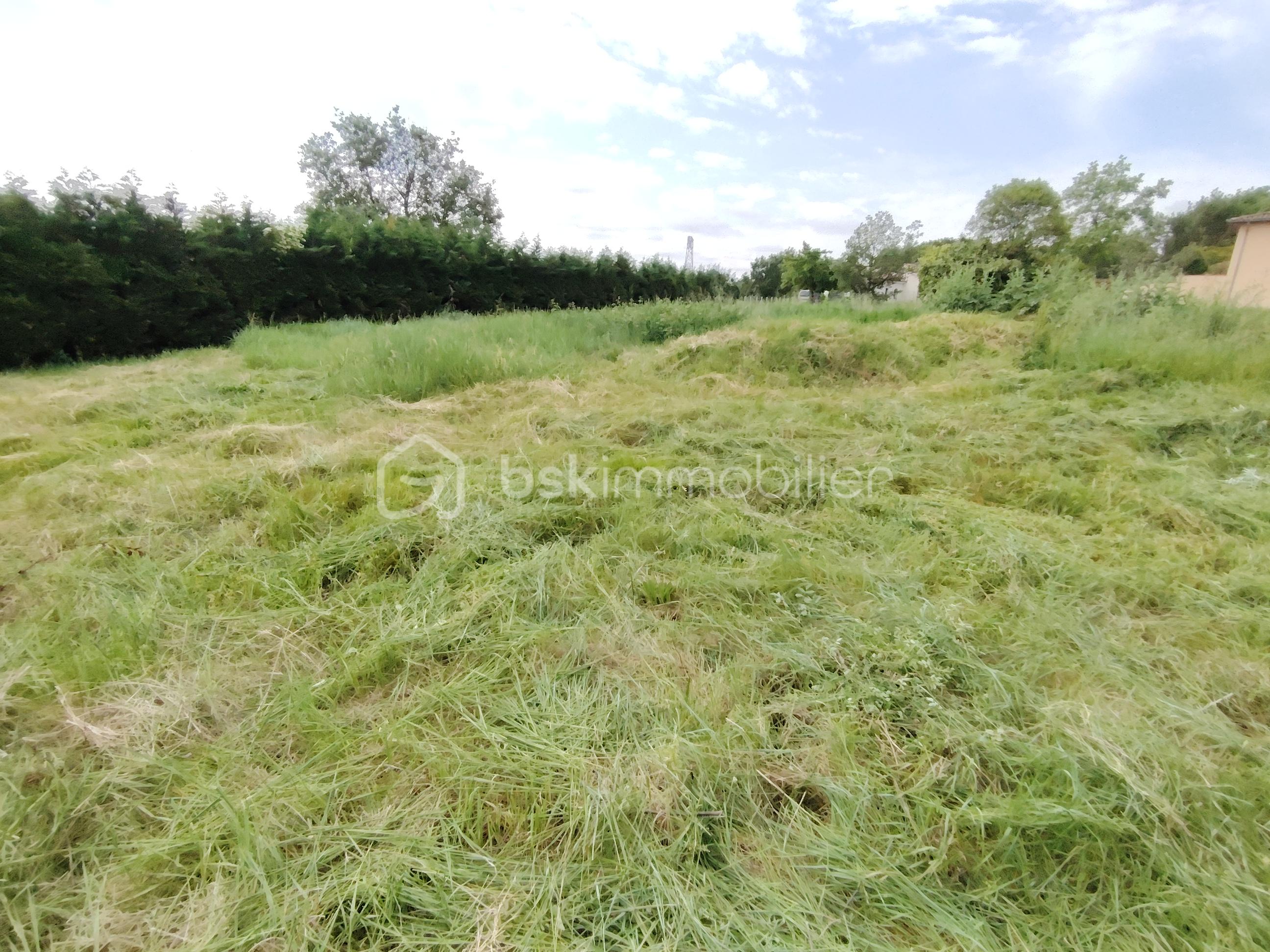 Terrain 2.jpg
