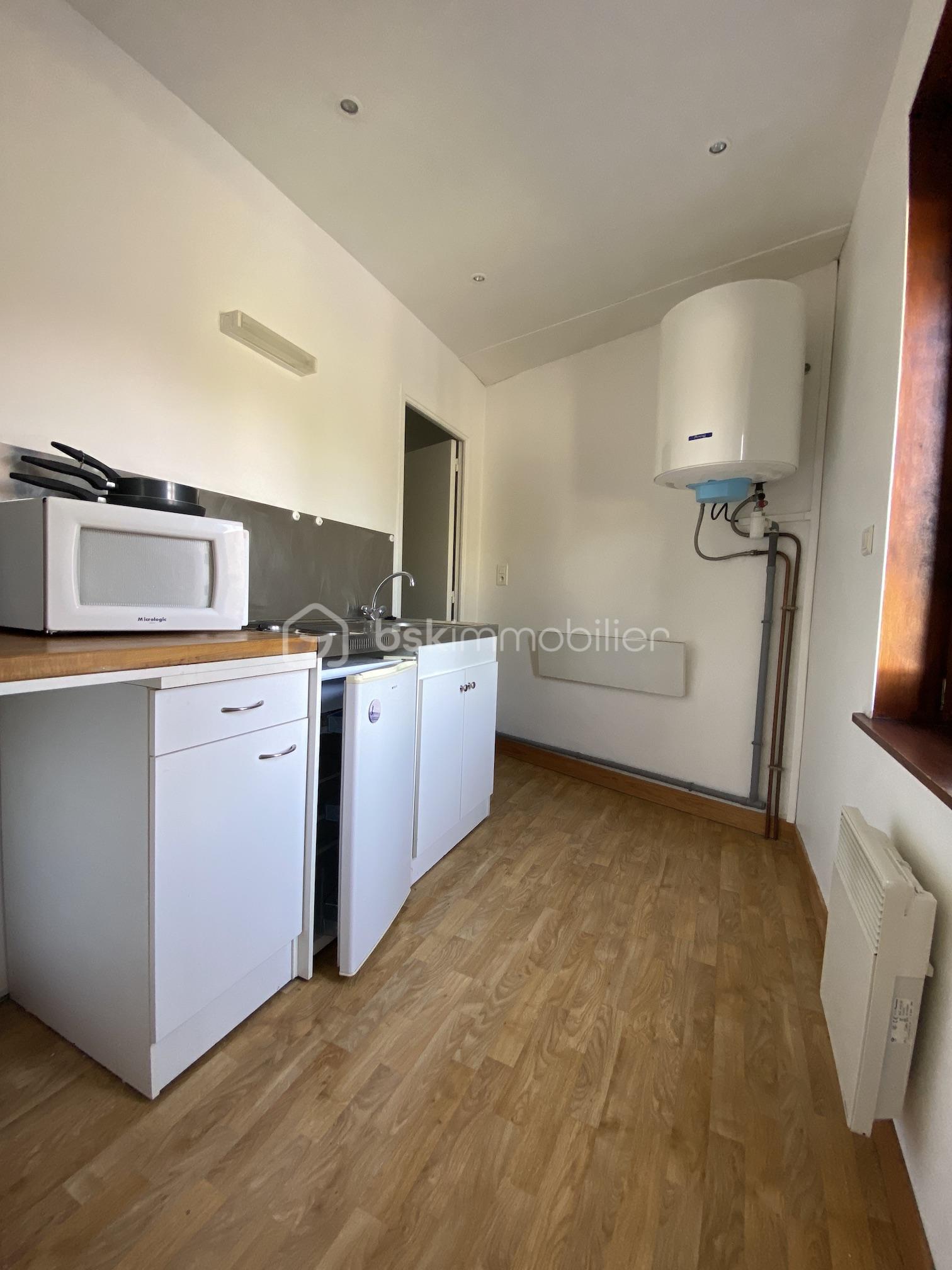 Immeuble commercial de 170 m² - BOILET St Amand 0488.JPG