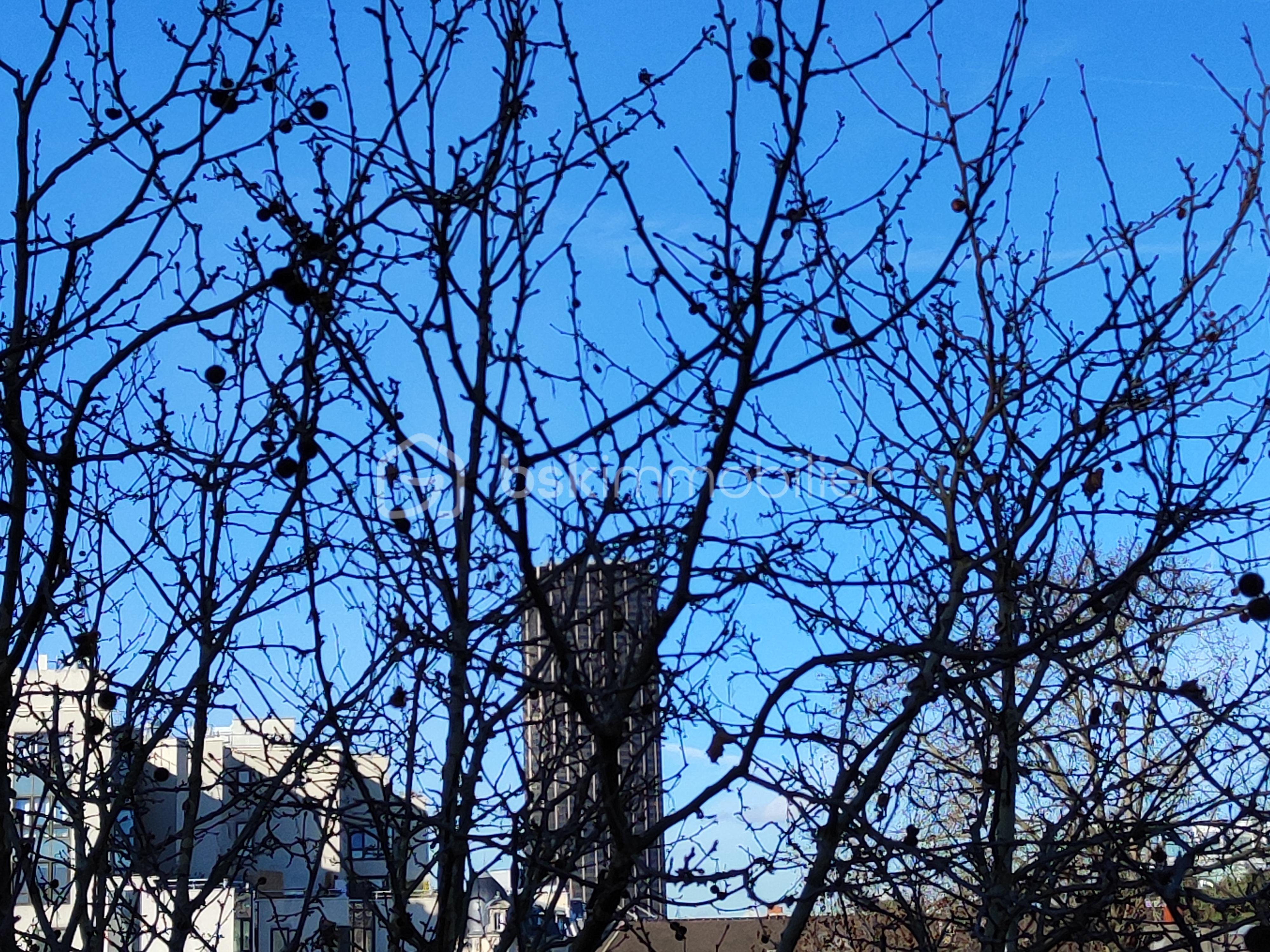 Appartement de 23 m² - IMG_20260202_121020.jpg