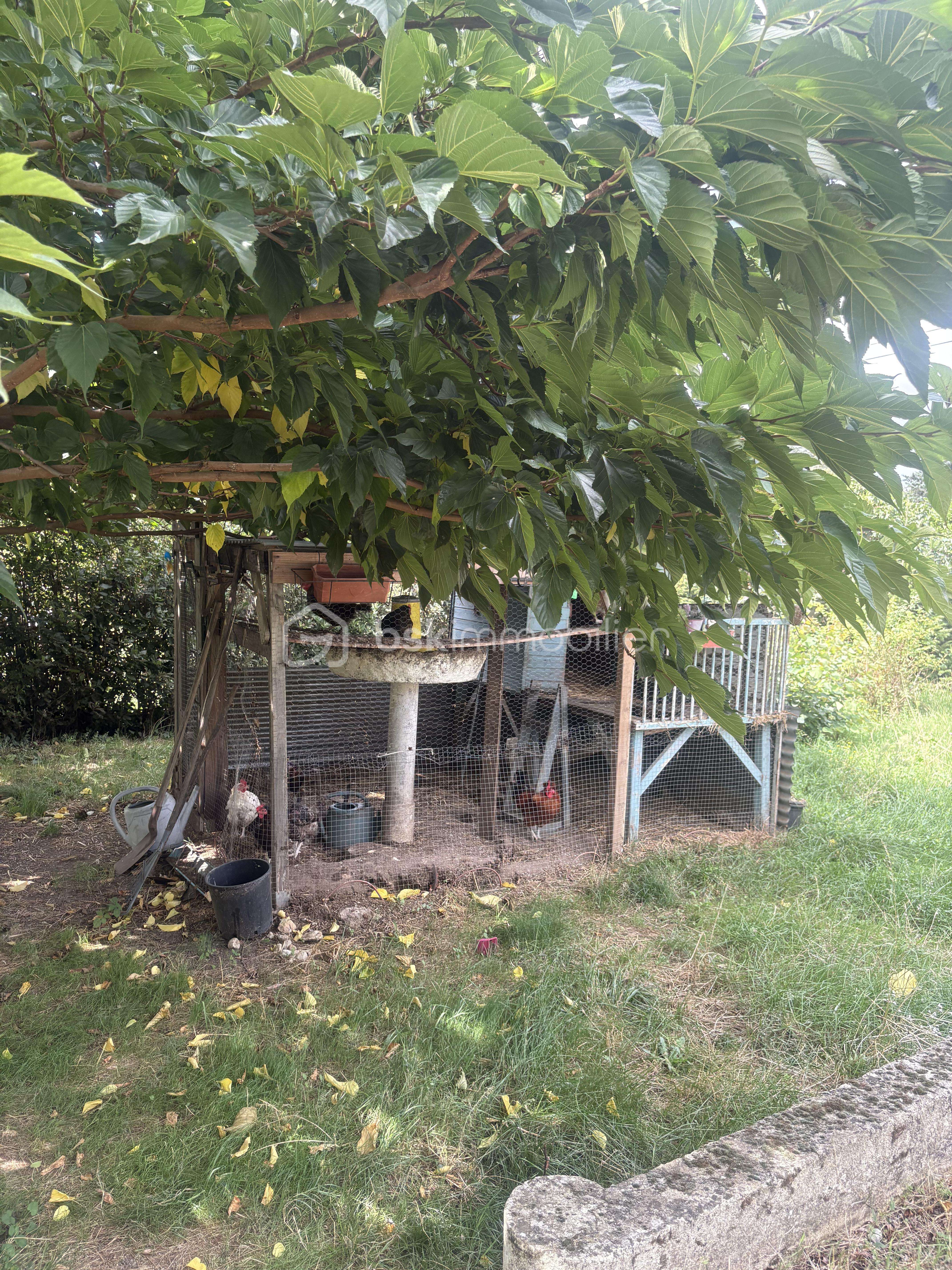 Maison de village de 126 m² - IMG_2484.jpg