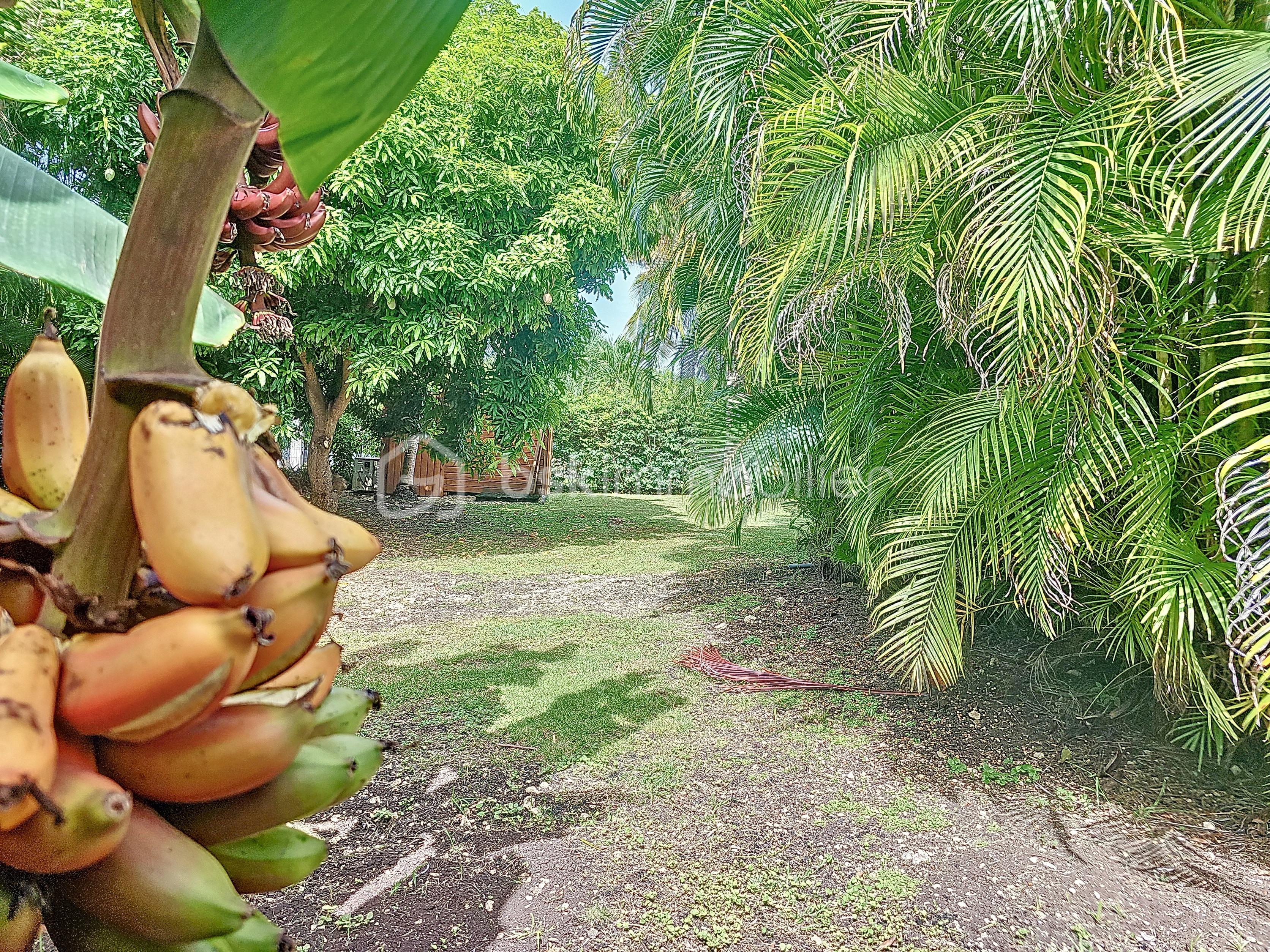 Maison de 124 m² - criqui_00040.jpg