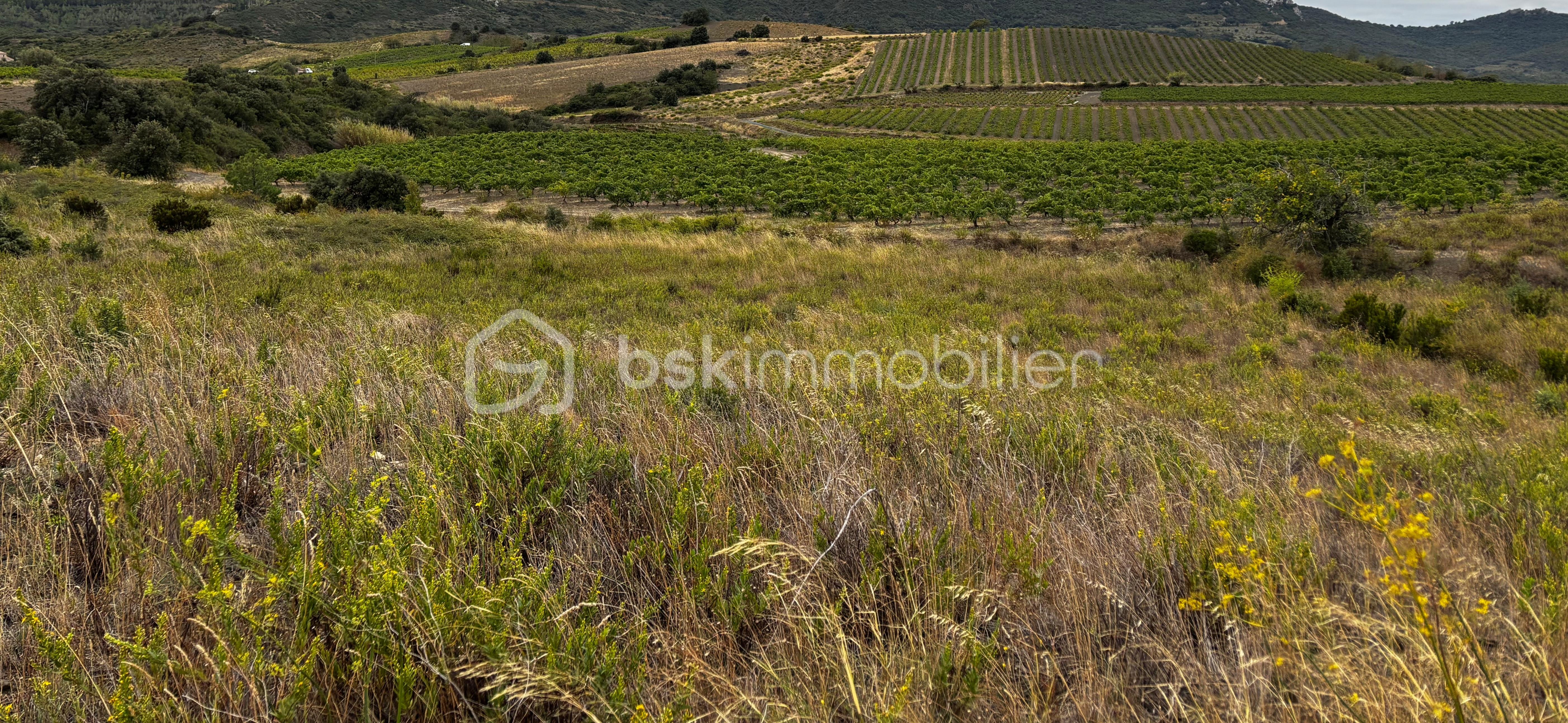 Terrain agricole de 4 685 m² - IMG_20251125_213610.jpg