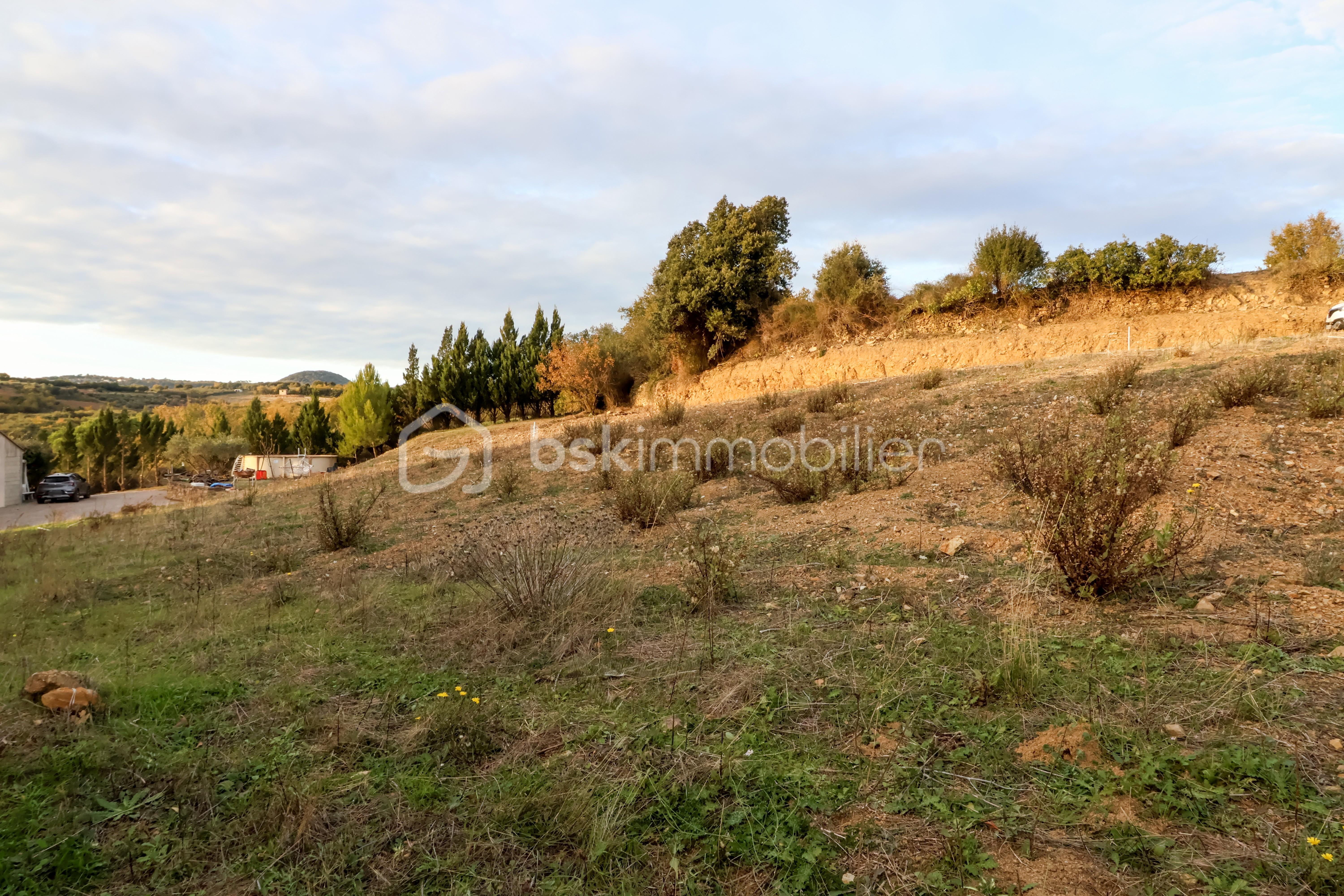 Terrain de 617 m² - IMG_3500.JPG