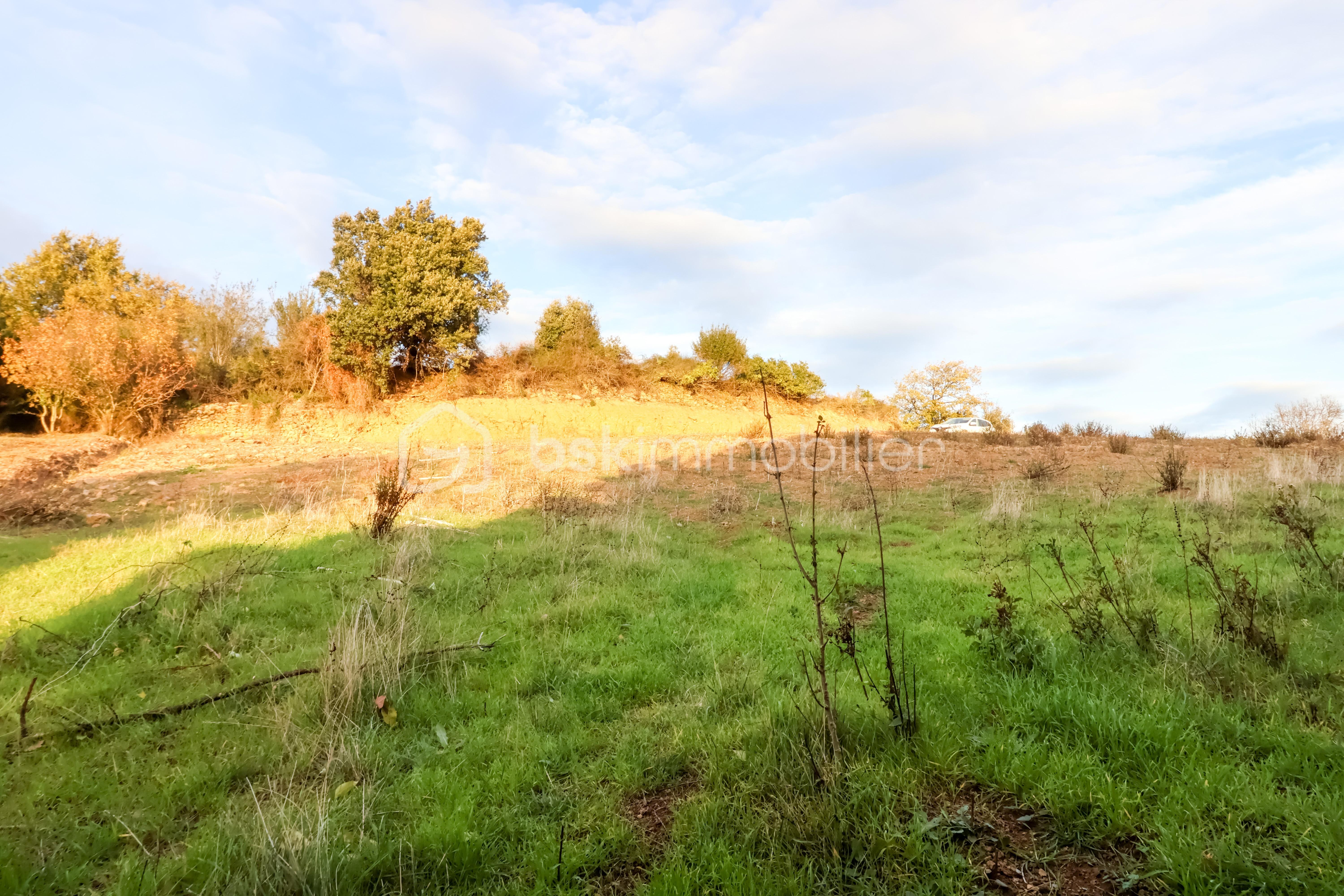 Terrain de 617 m² - IMG_3511.JPG