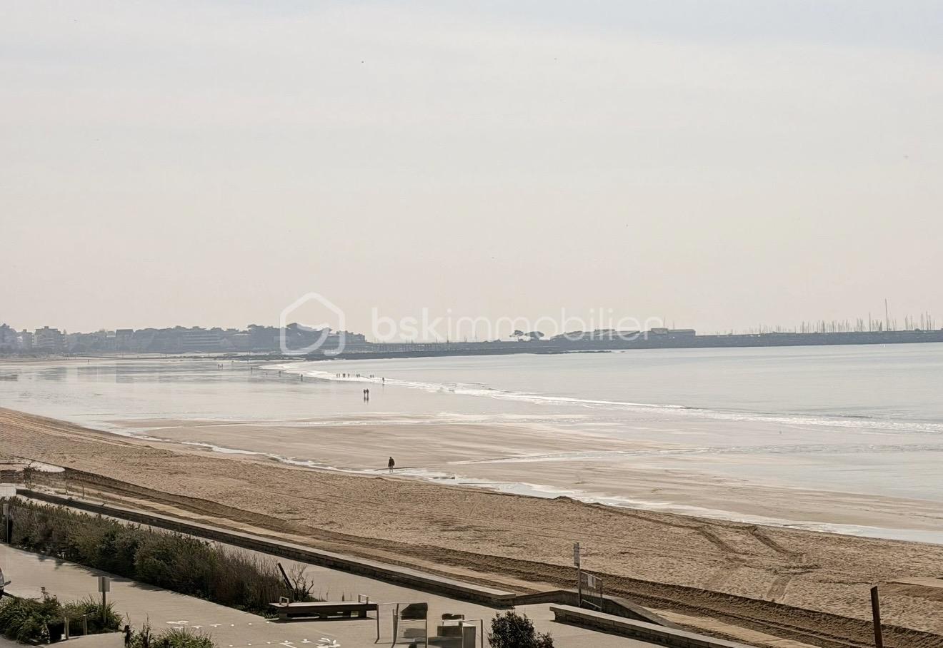 IMG_1406.jpg