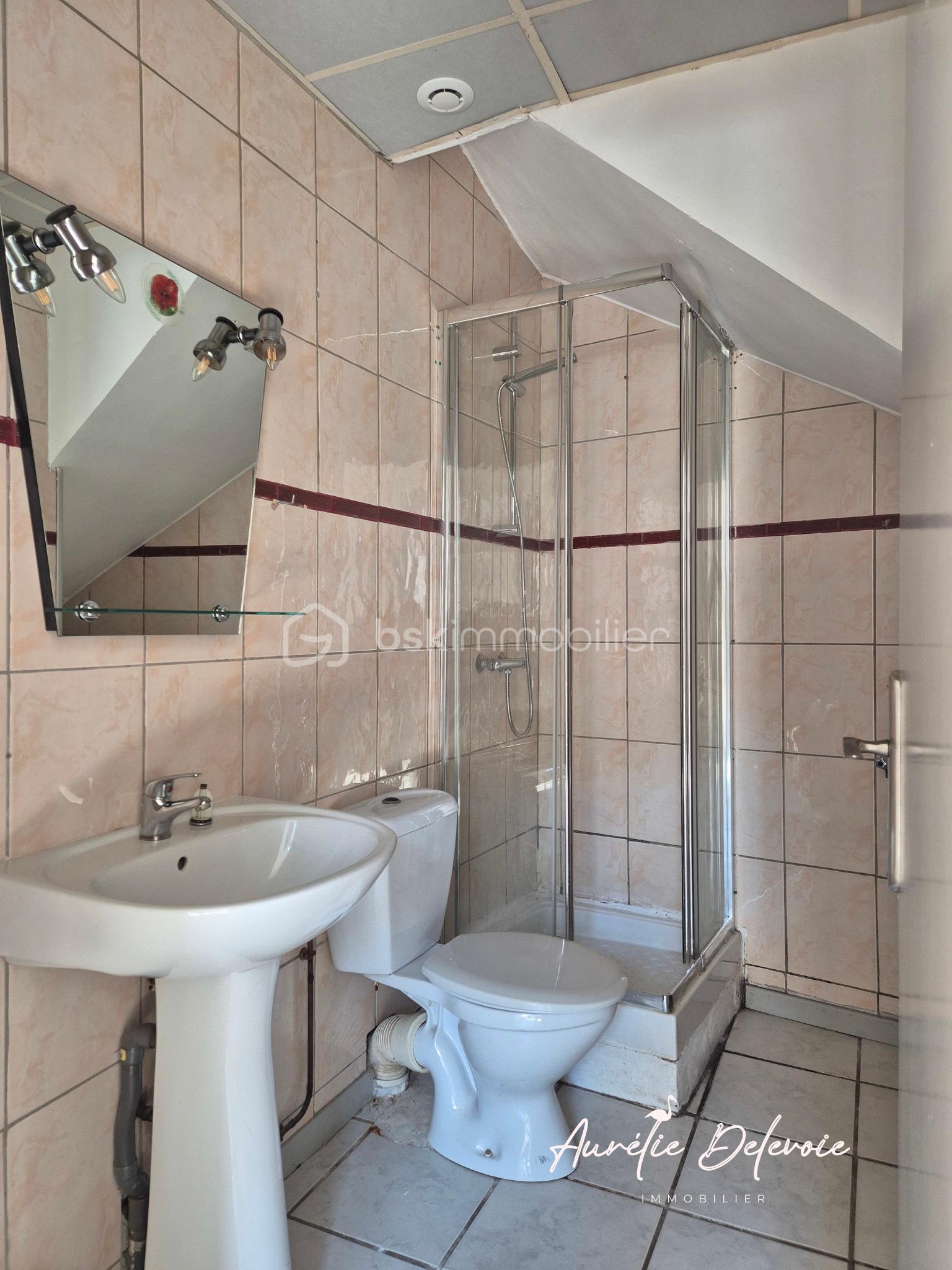 Maison de village de 148 m² - T2 rdc - salle d'eau.png