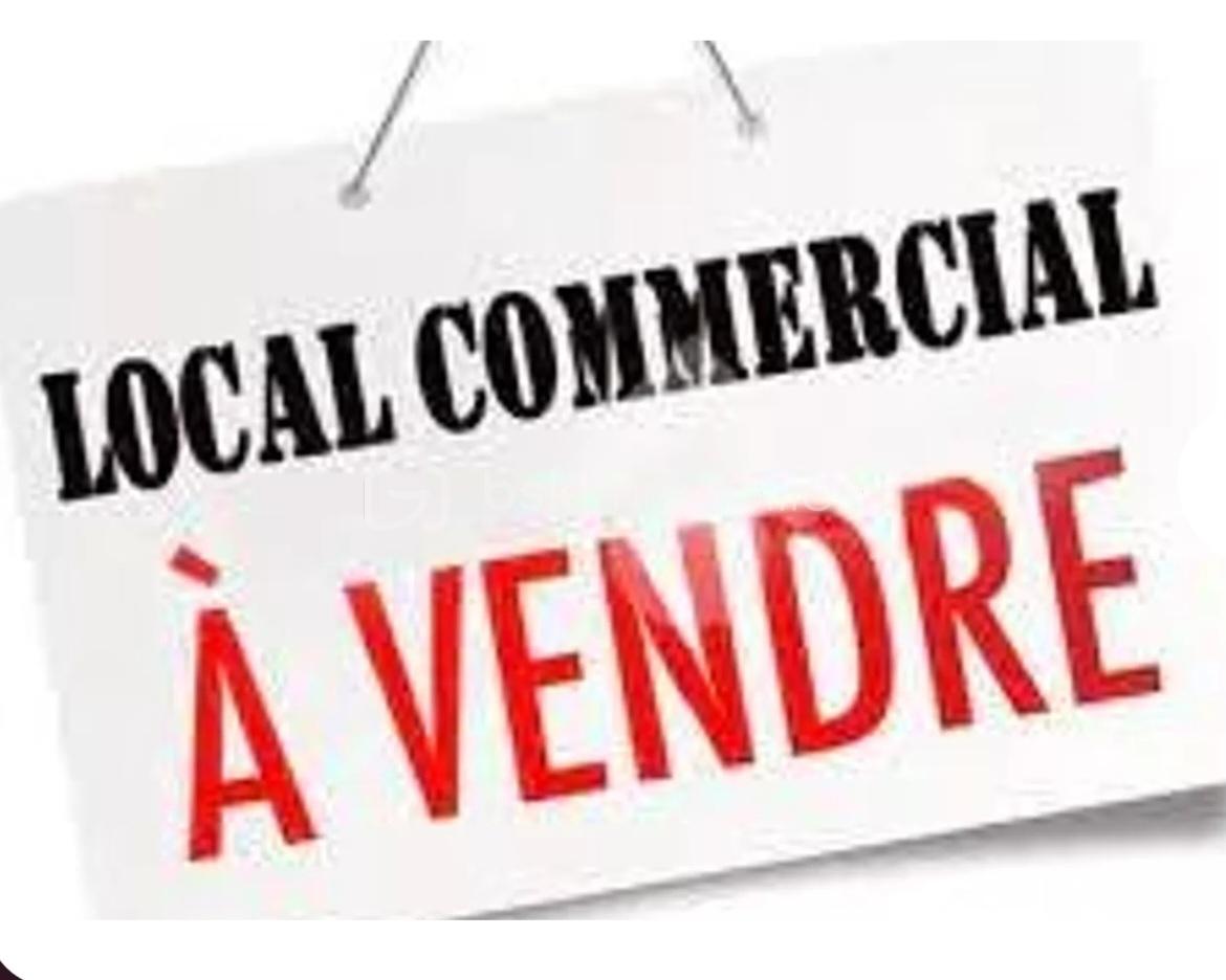 Local d activites de 245 m² - Image A VENDRE.jpg