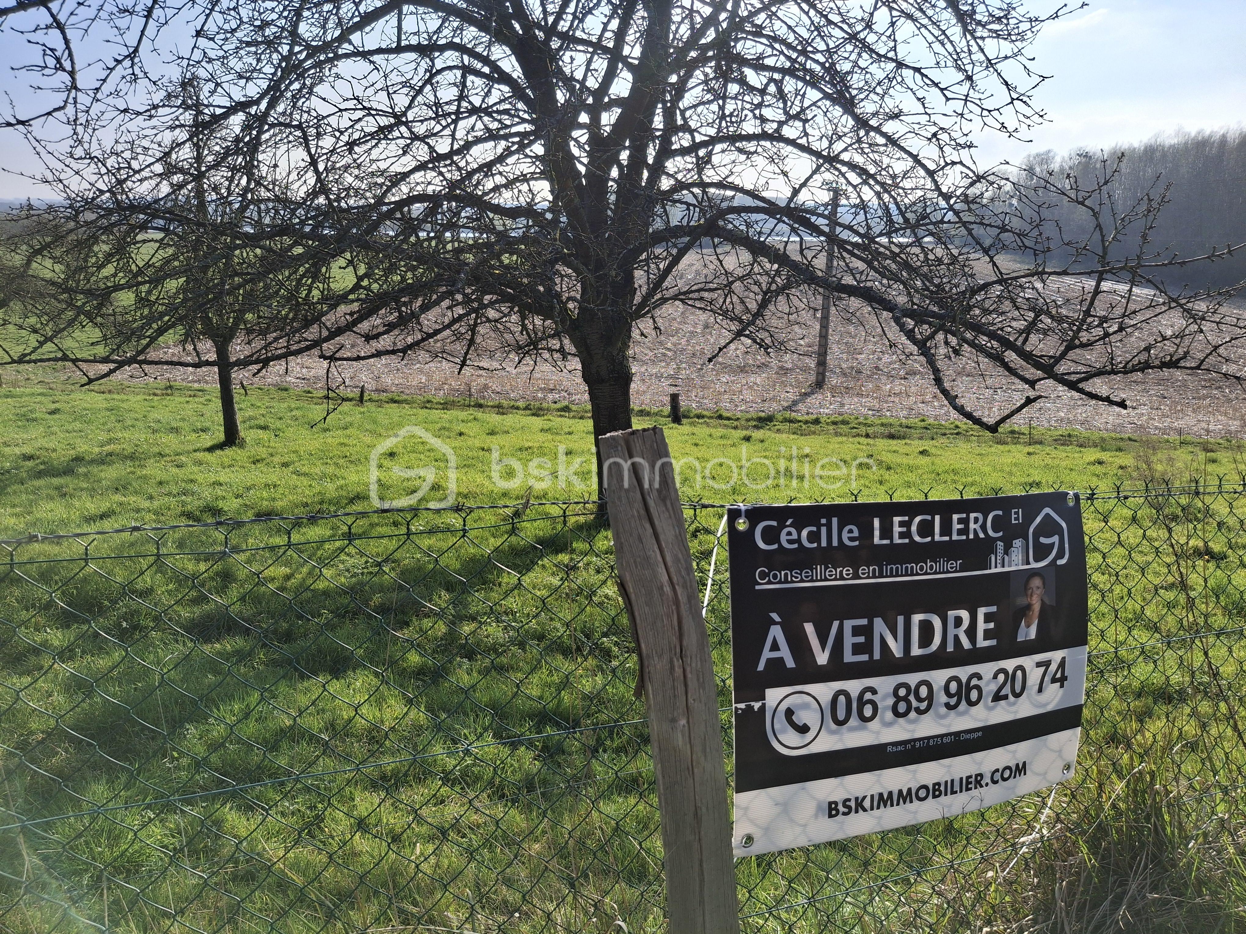 Terrain de 1 156 m² - vue Seine éloignée avec panneaux paysage printemps 2025.jpg