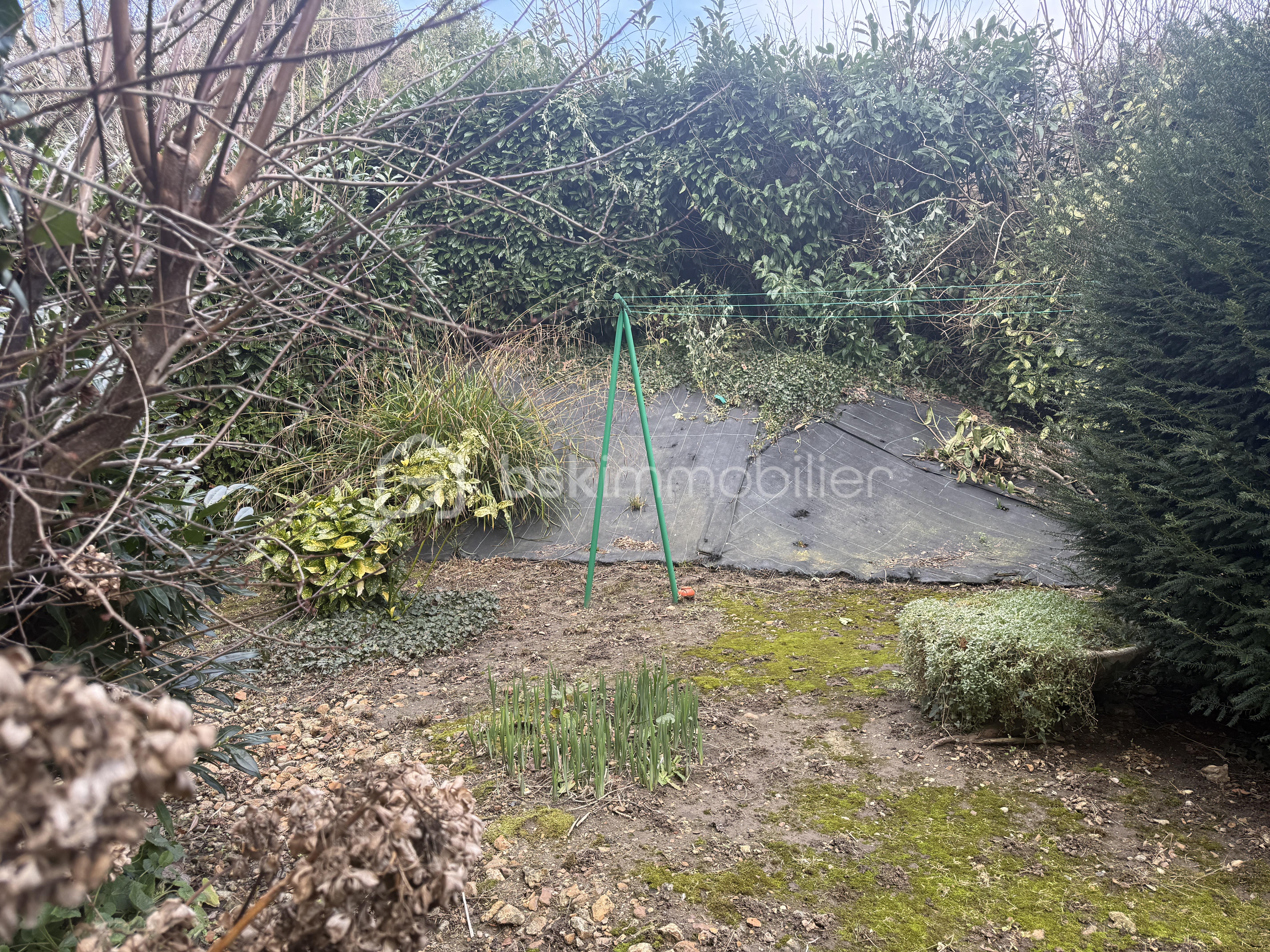 Appartement de 35,03 m² - IMG_2516.JPG