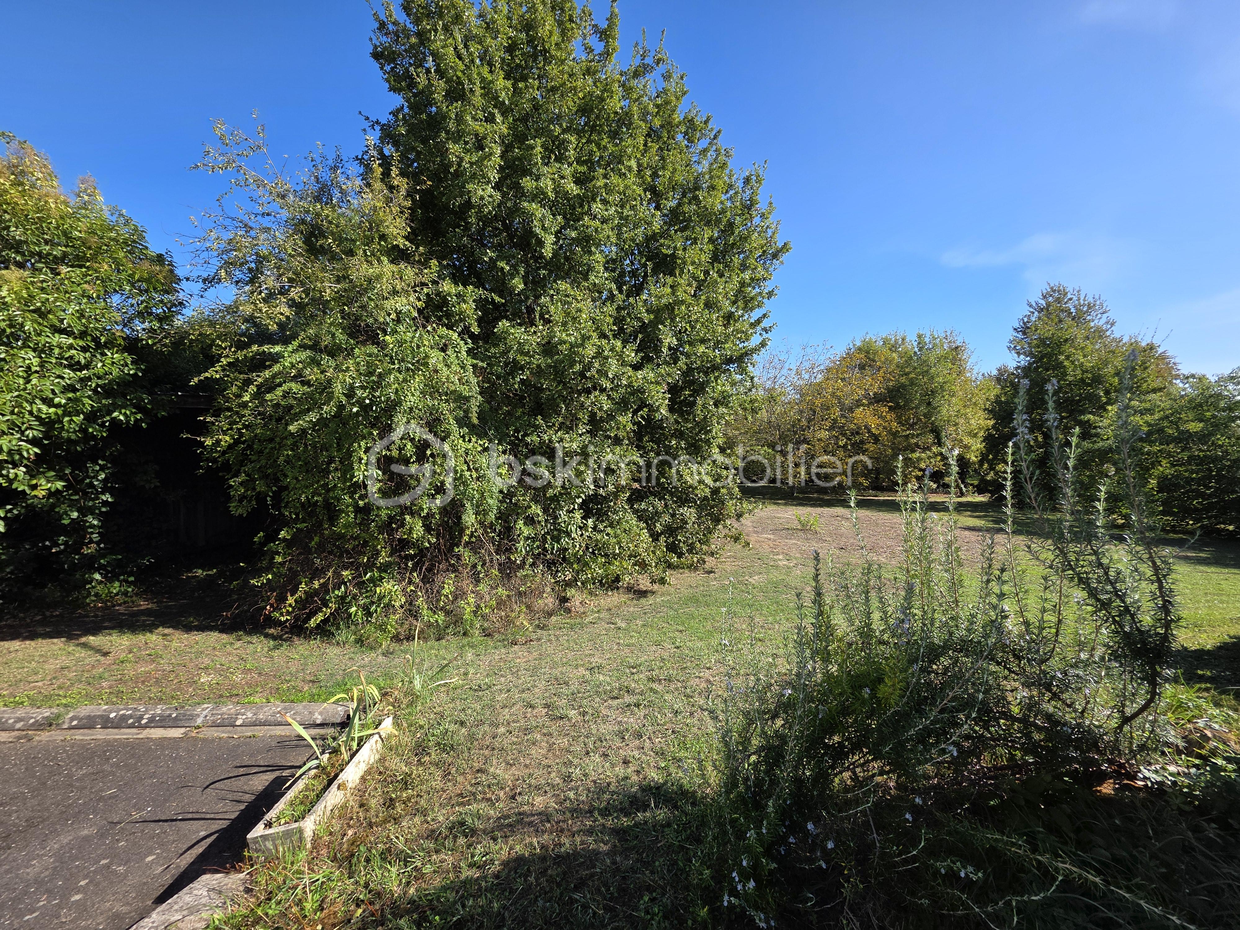 Maison de 118 m² - 20250917_111507.jpg