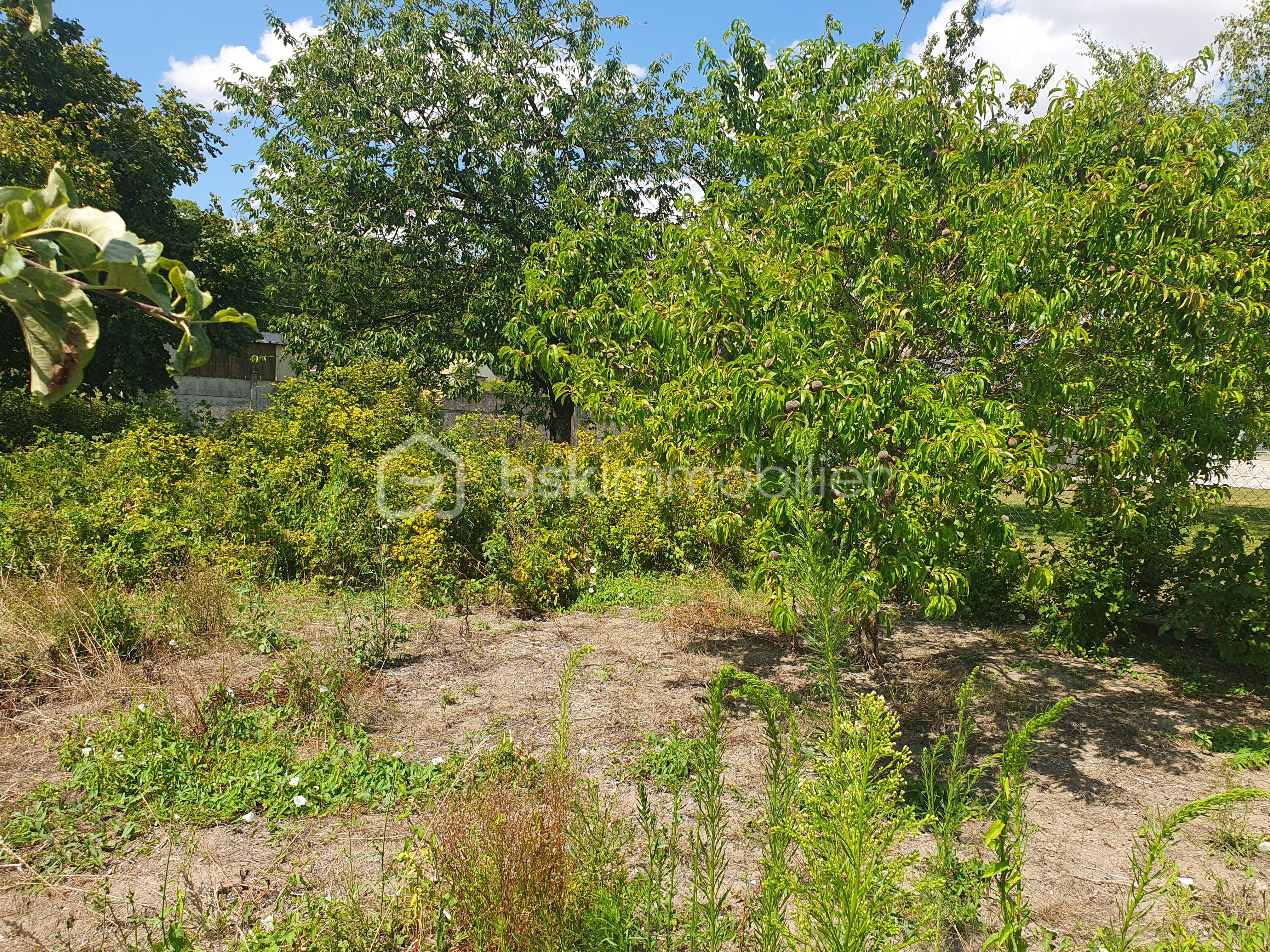 Maison de 94 m² - 20250718_151046 (1).jpg