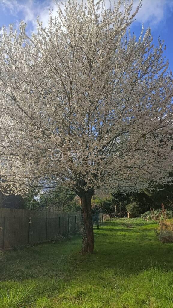 Maison de village de 76 m² - image000000.jpg