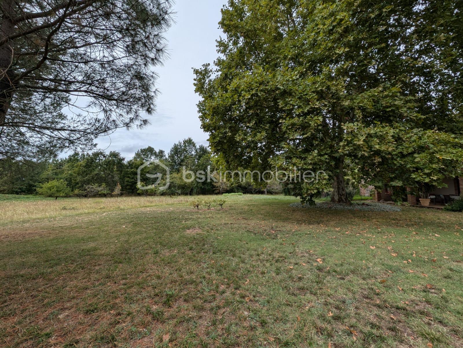 Maison ancienne de 280 m² - parc1.JPG