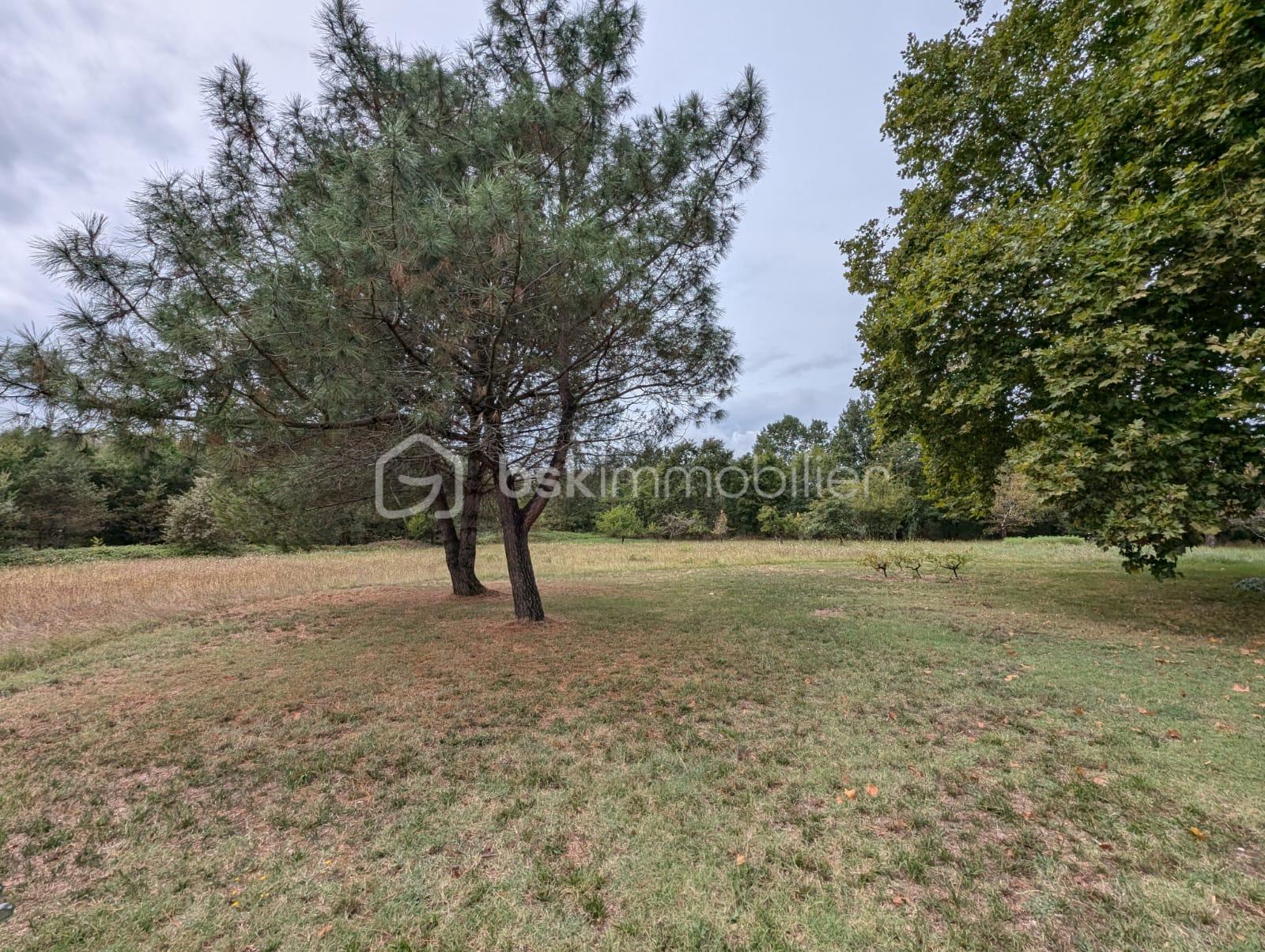 Maison ancienne de 280 m² - parc2.JPG