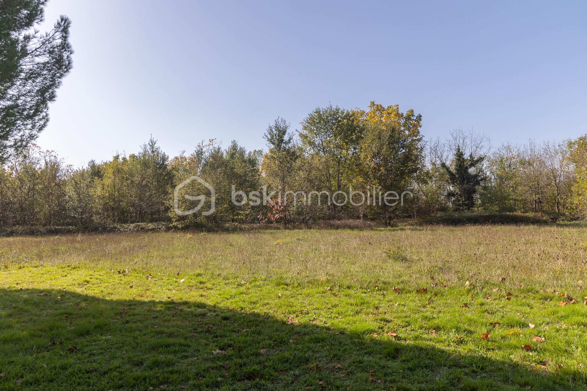 Maison ancienne de 213 m² - parc 3.jpg