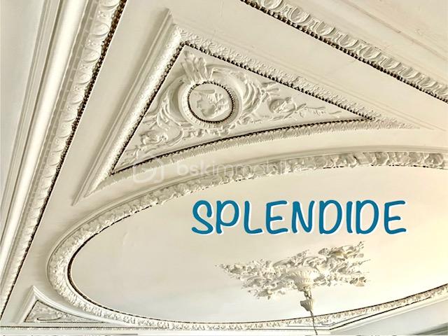 amaury splendide.jpeg