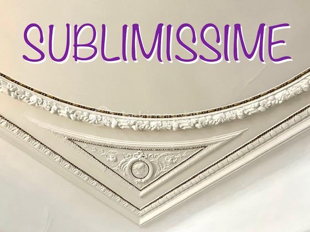 amaury sublissime.jpeg