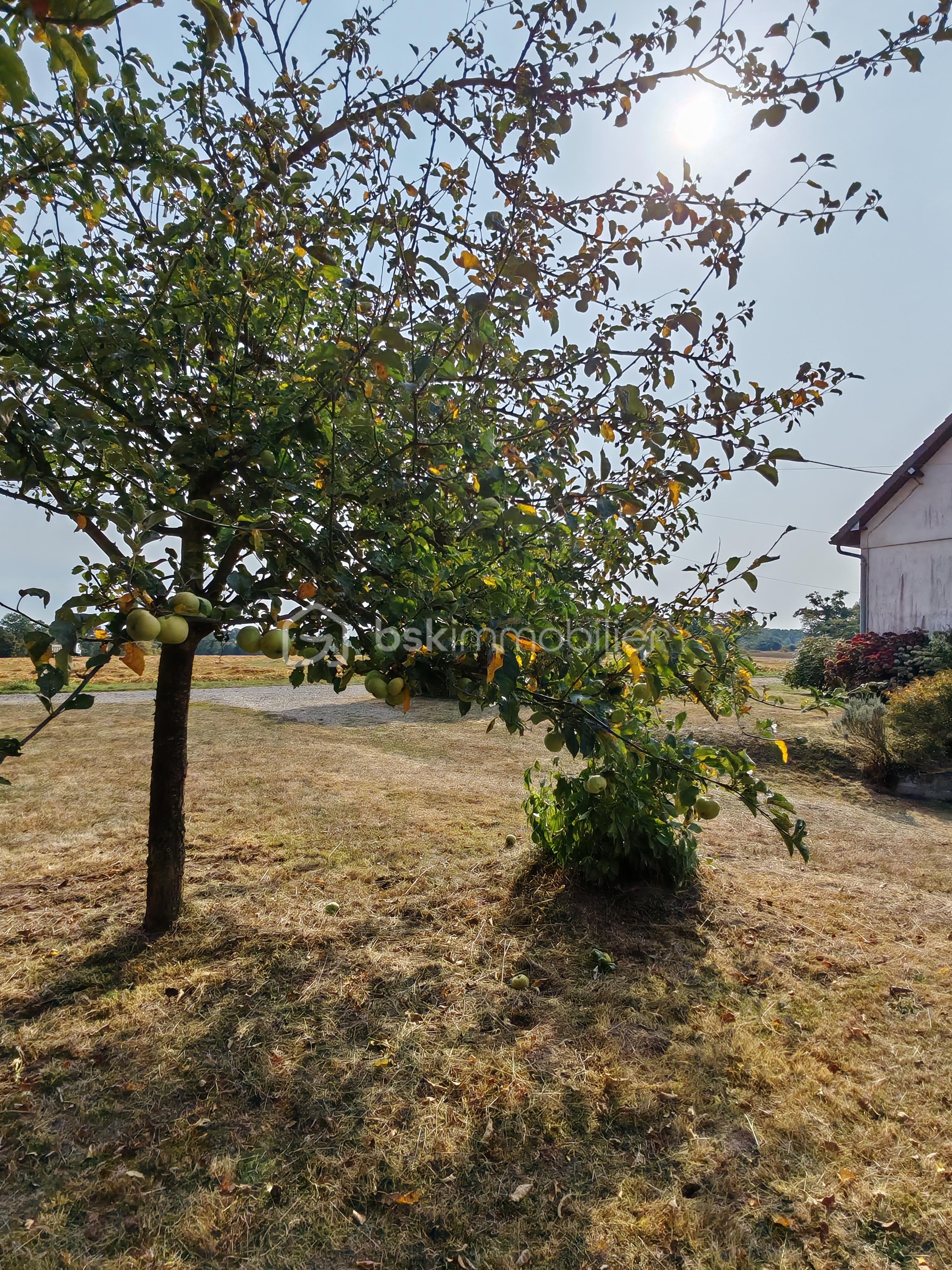 Maison de 147 m² - 6.jpg