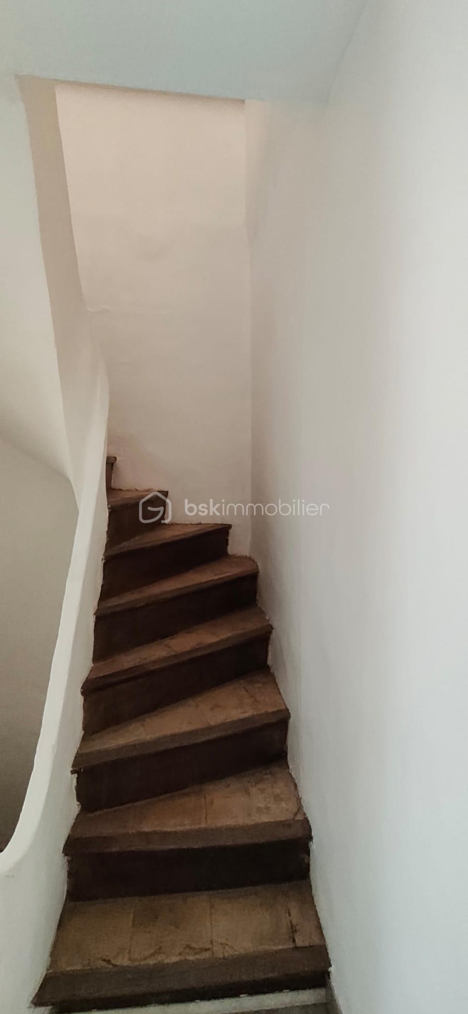 WhatsApp Image 2026-03-28 at 14.23.55.jpeg