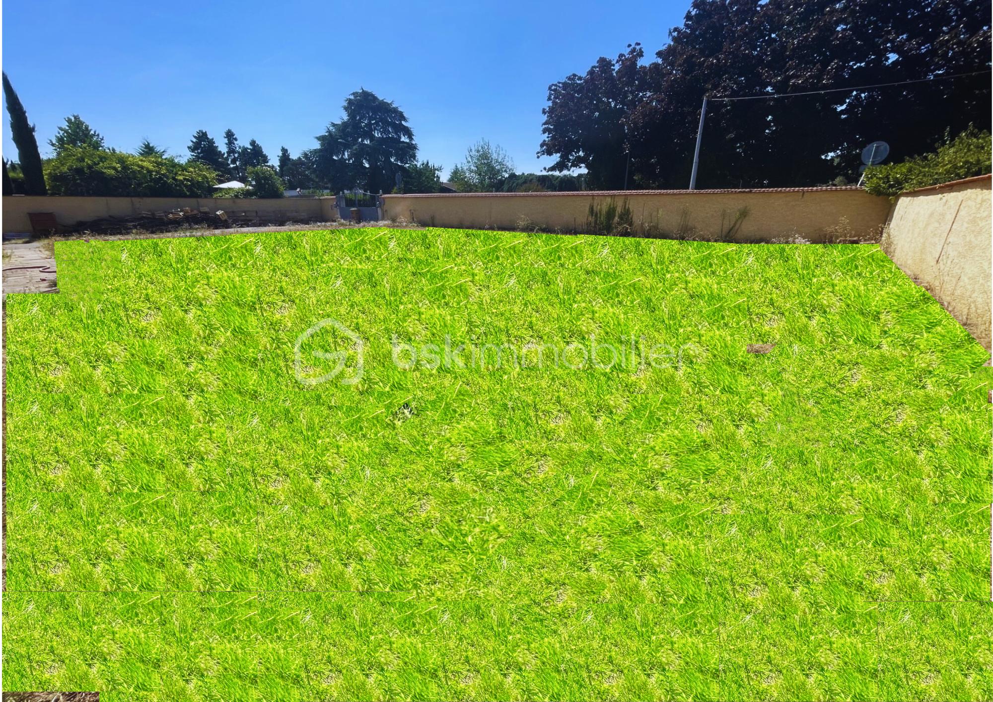 Terrain de 459 m² - terrain2.png