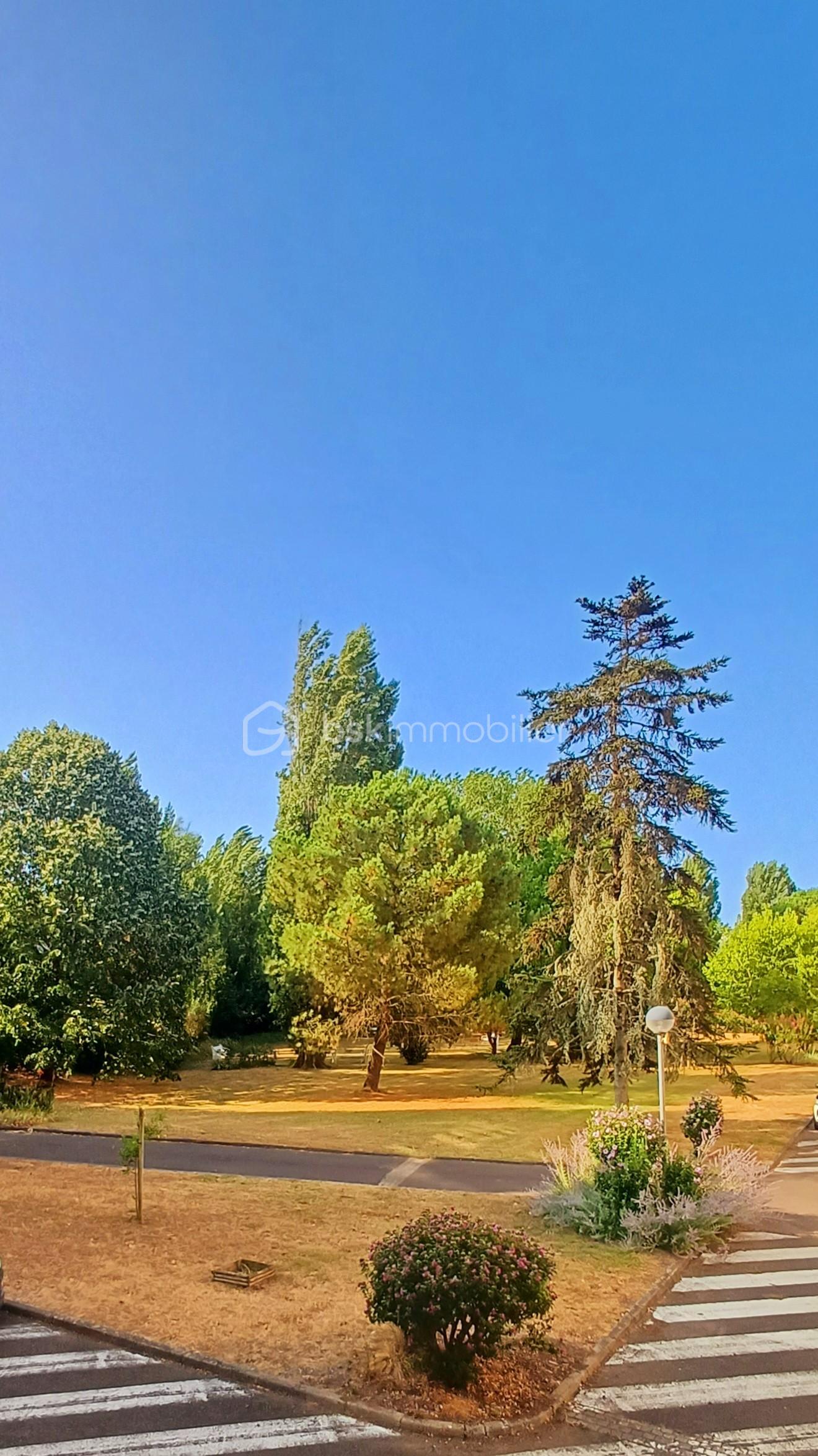 620af268-efb2-4c4e-bdd9-4fb7b42ee90f.jpg