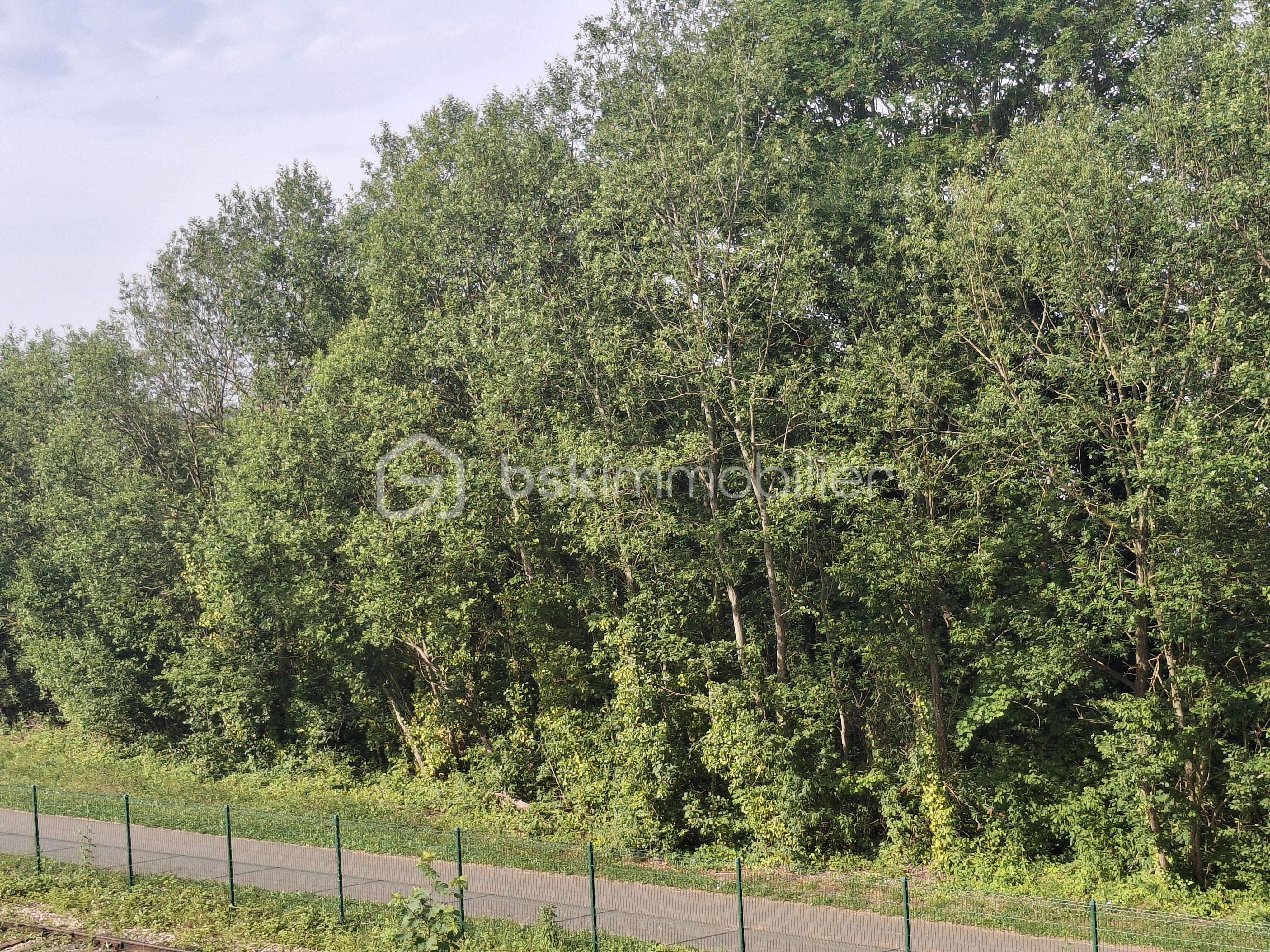 VUE VOIE VERTE paysage.png