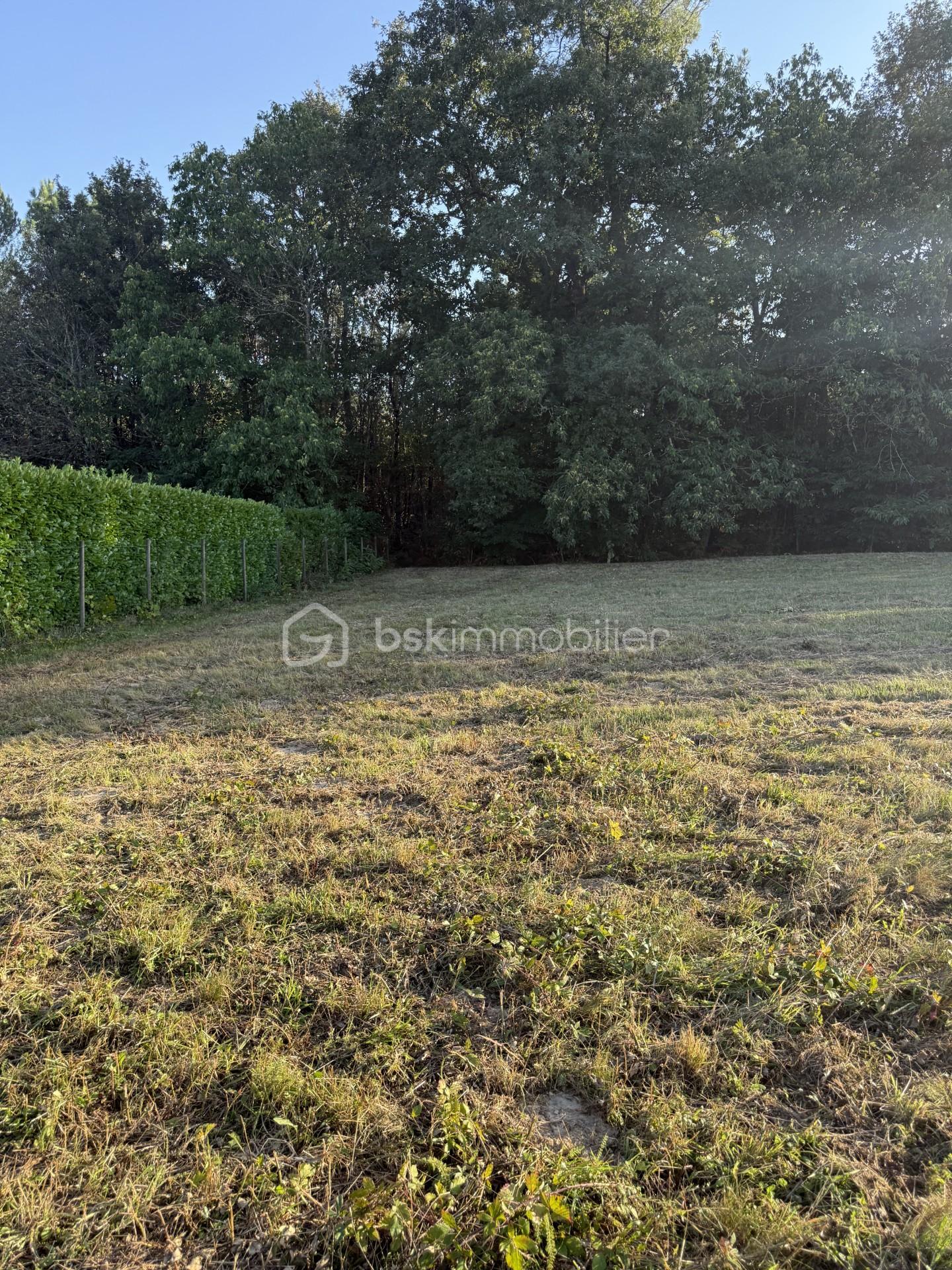 Lotissement de 3 255 m² - thumbnail_IMG_1113.jpg