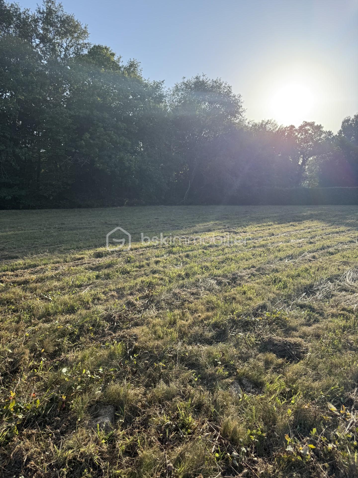 Lotissement de 3 255 m²