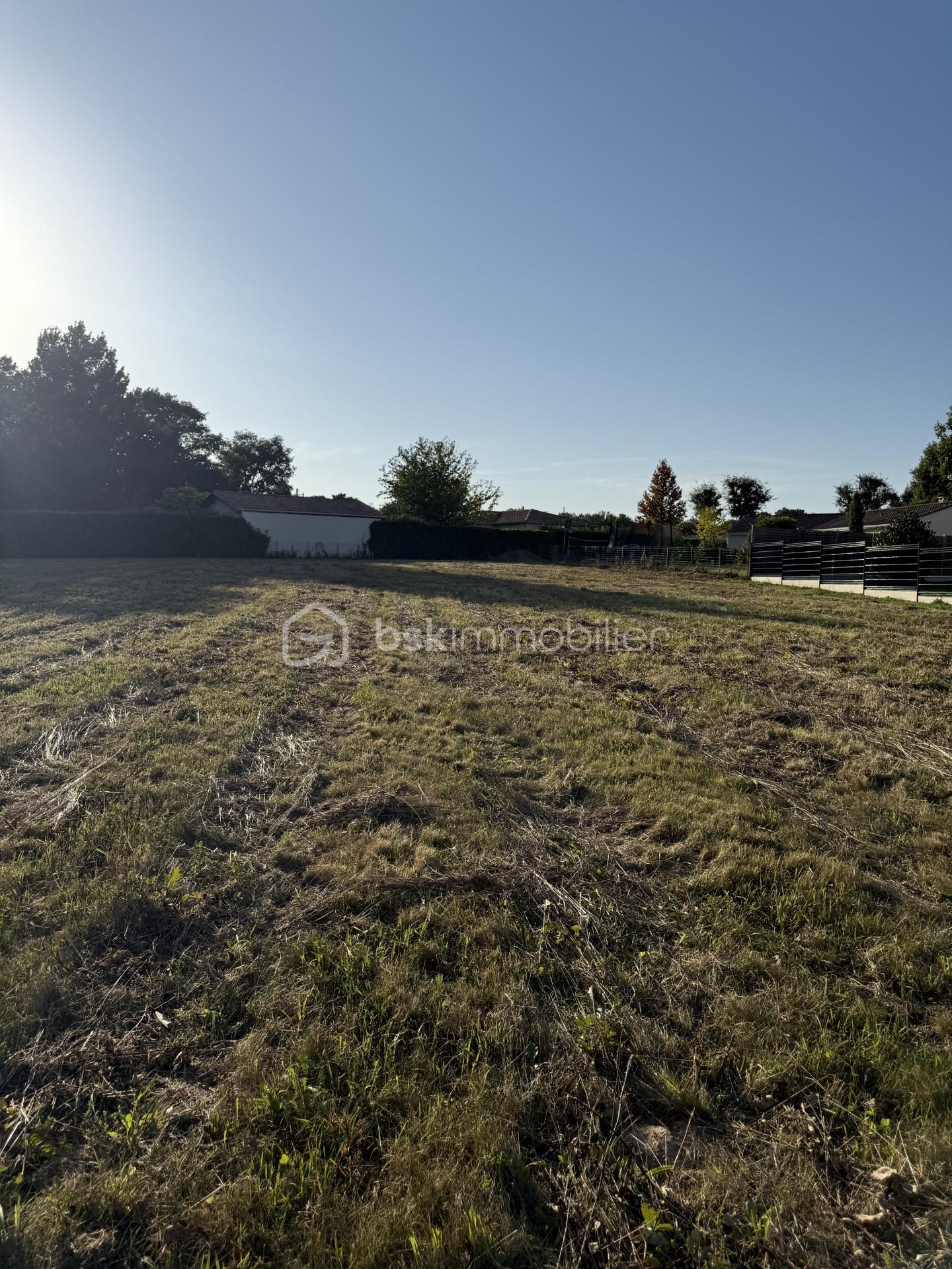 Lotissement de 3 255 m² - thumbnail_IMG_1115.jpg