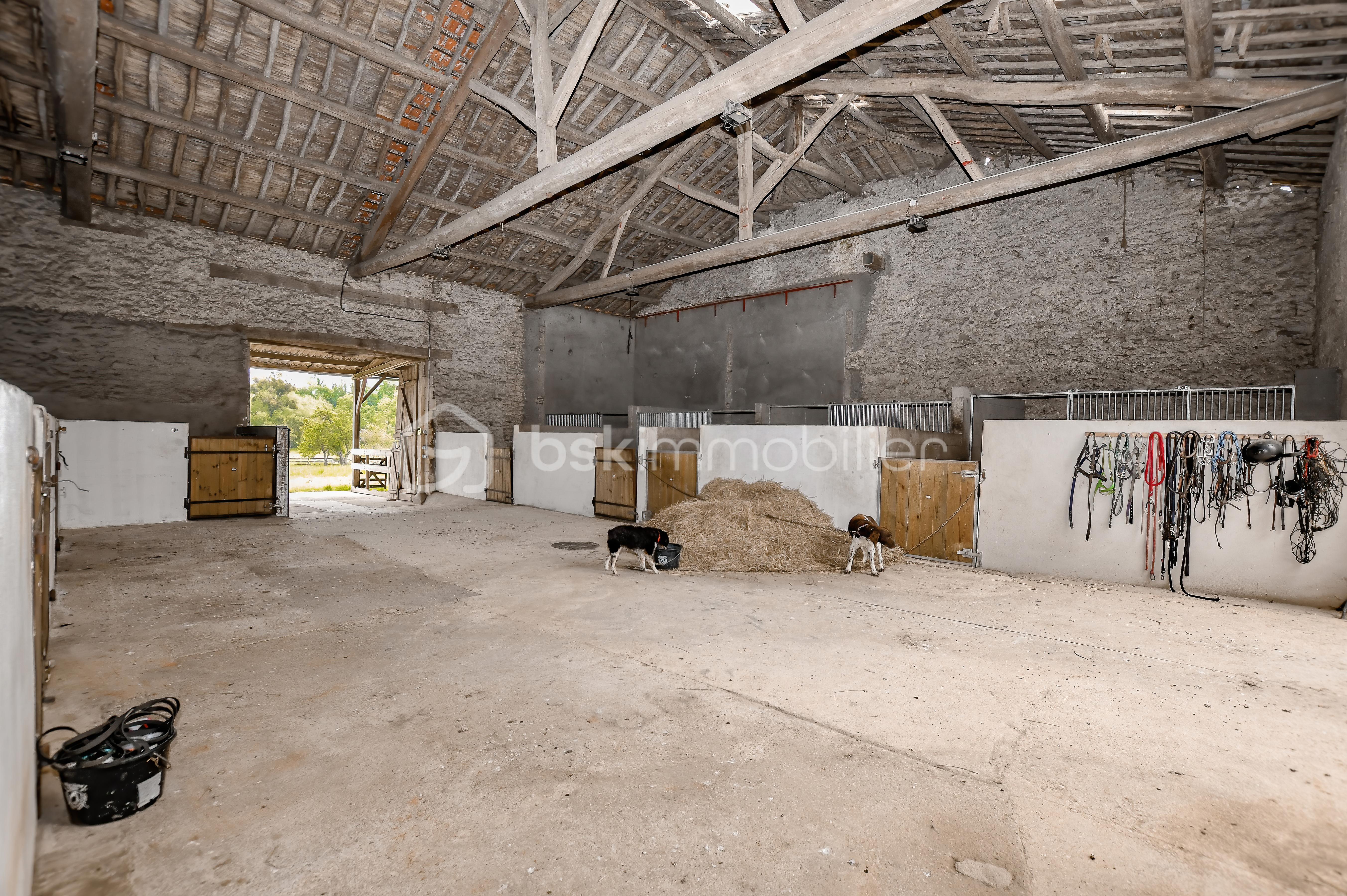 Haras de Fleury40.jpg