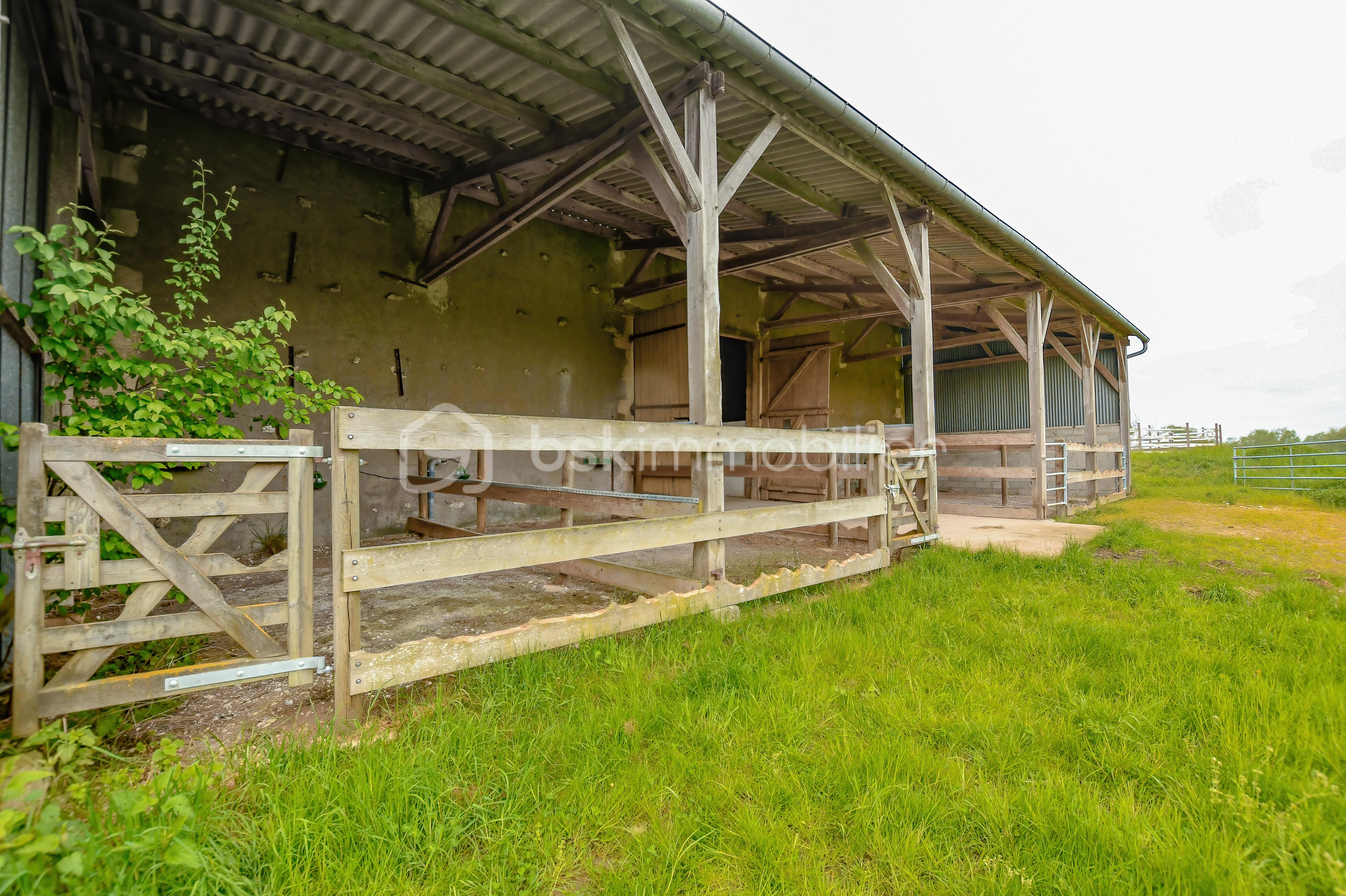 Haras de Fleury67.jpg